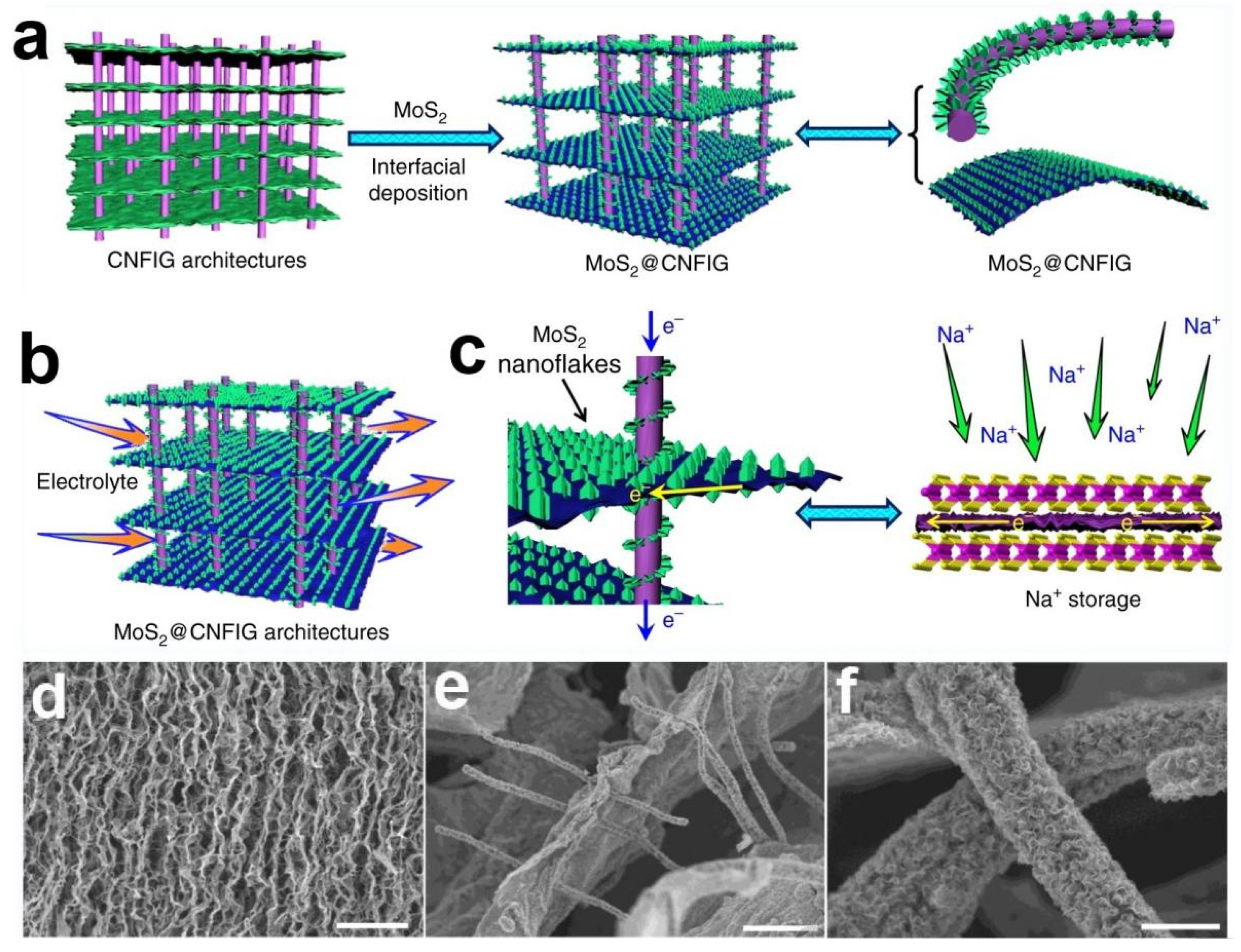 Nanomaterials 12 02837 g020