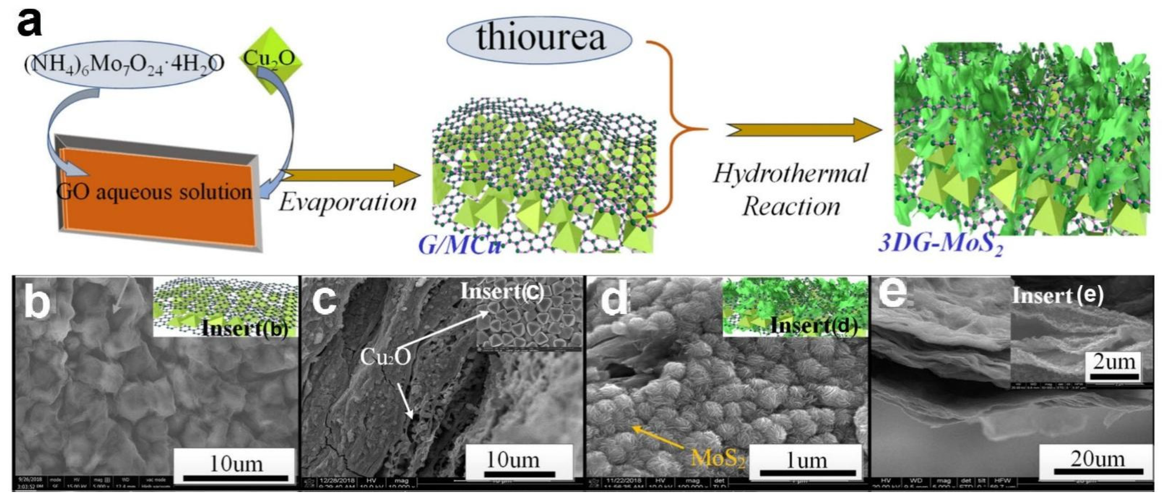 Nanomaterials 12 02837 g022