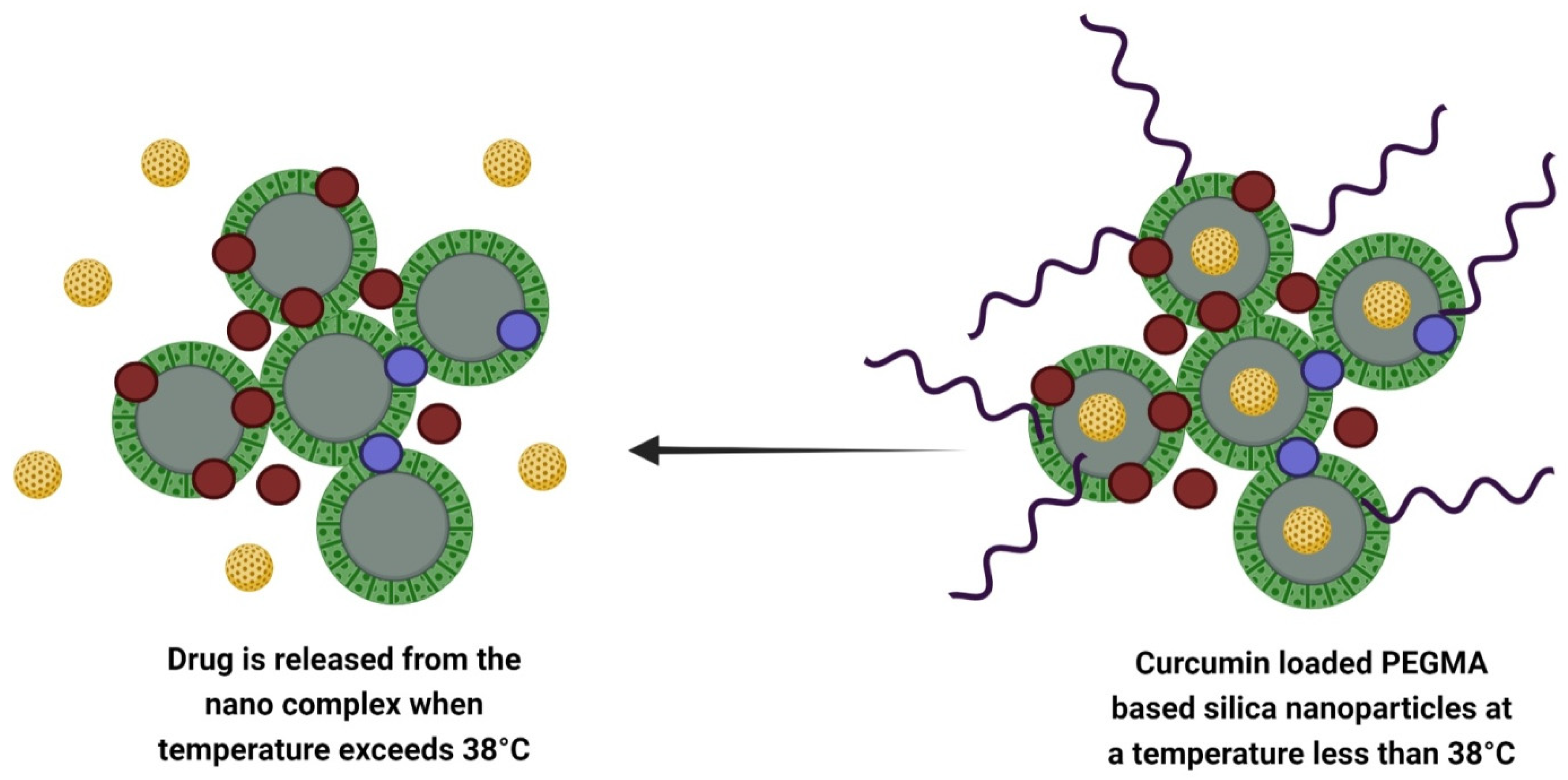 Nanomaterials 12 02848 g003 550