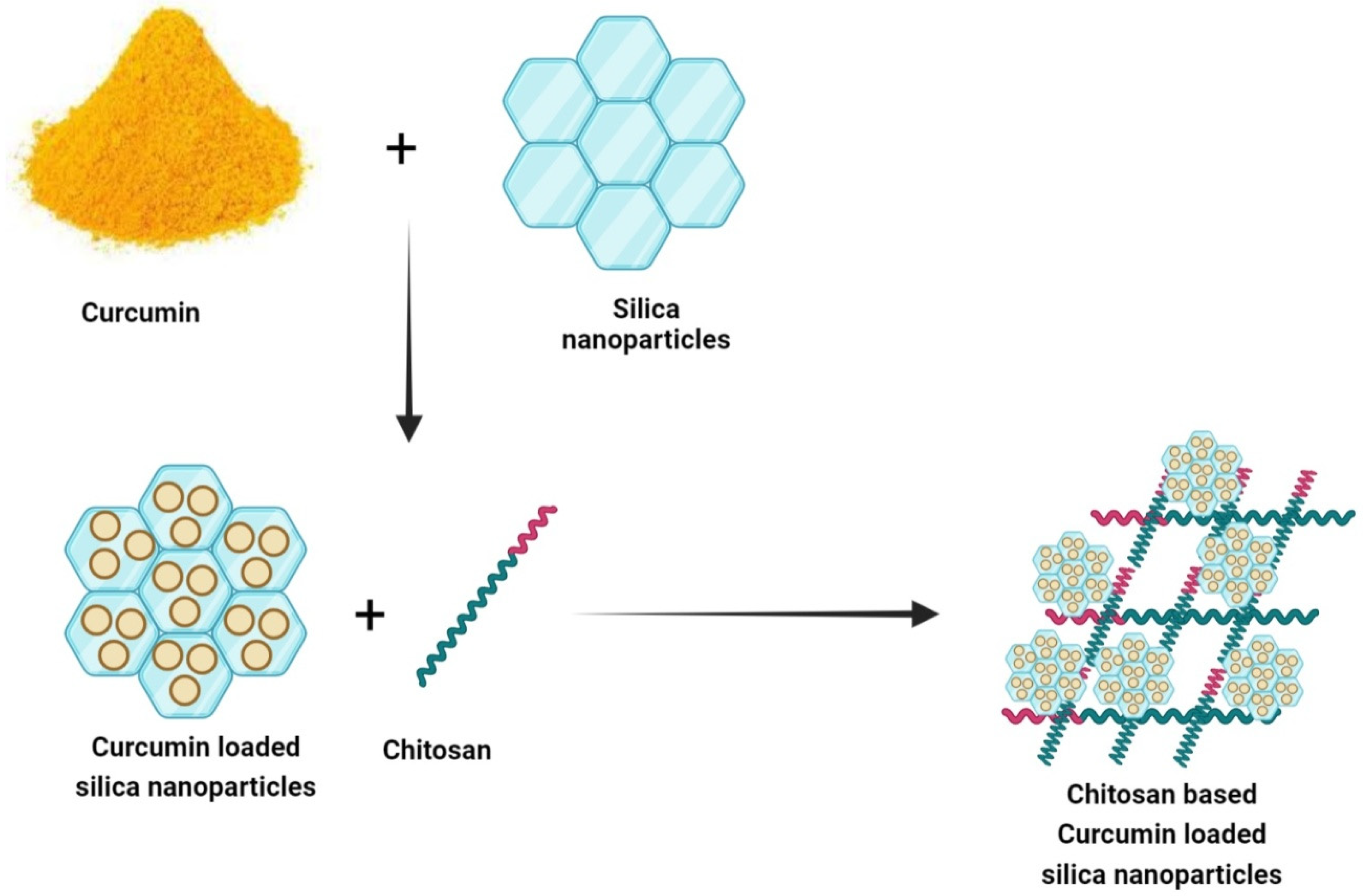 Nanomaterials 12 02848 g004 550