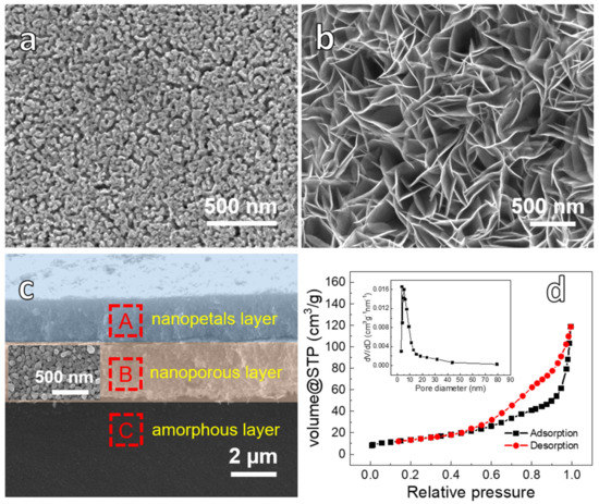 sh　24 Natural pollen exine-templated synthesis of photocatalytic