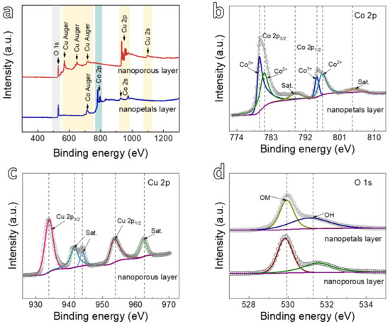 ※asami※ Co3O4 Nanopetals Grown on the Porous CuO Network for the