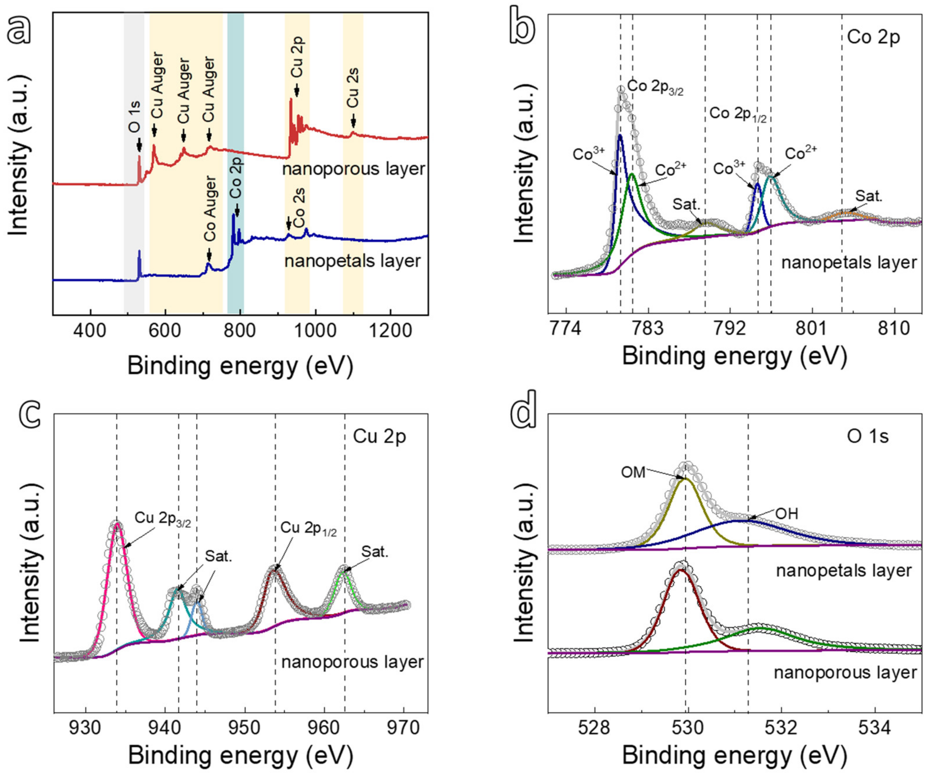 Nanomaterials 12 02850 g003