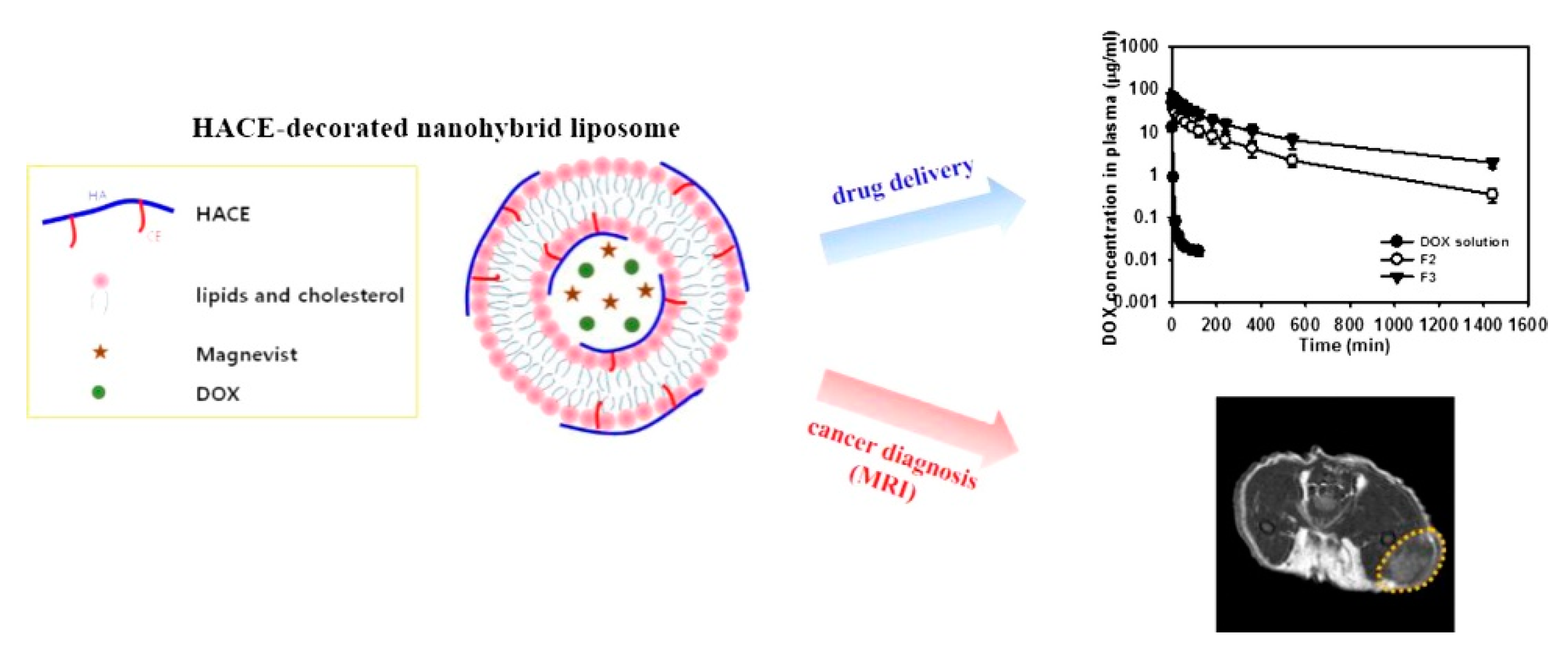 Nanomaterials 12 02851 g004