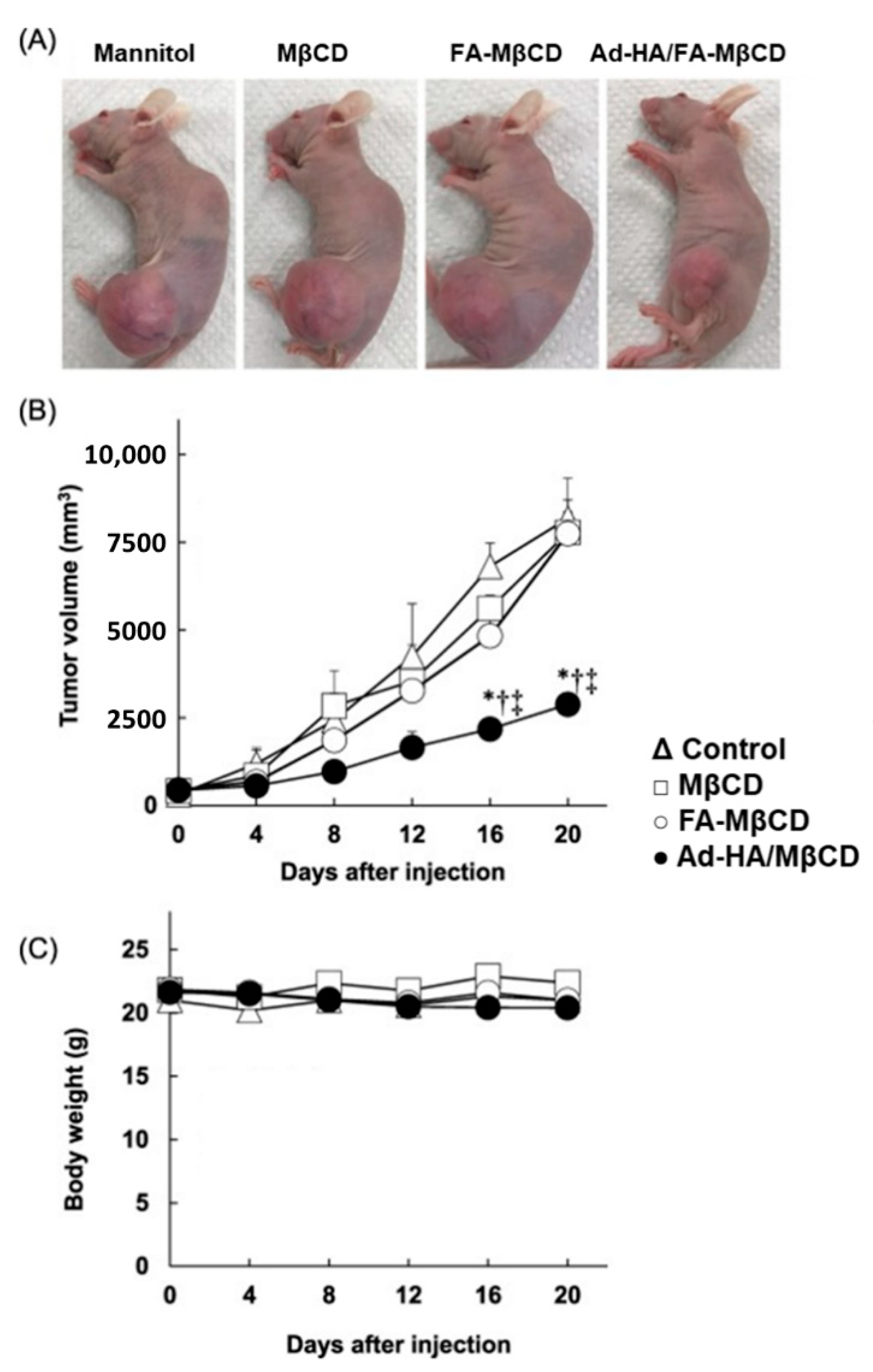 Nanomaterials 12 02851 g006