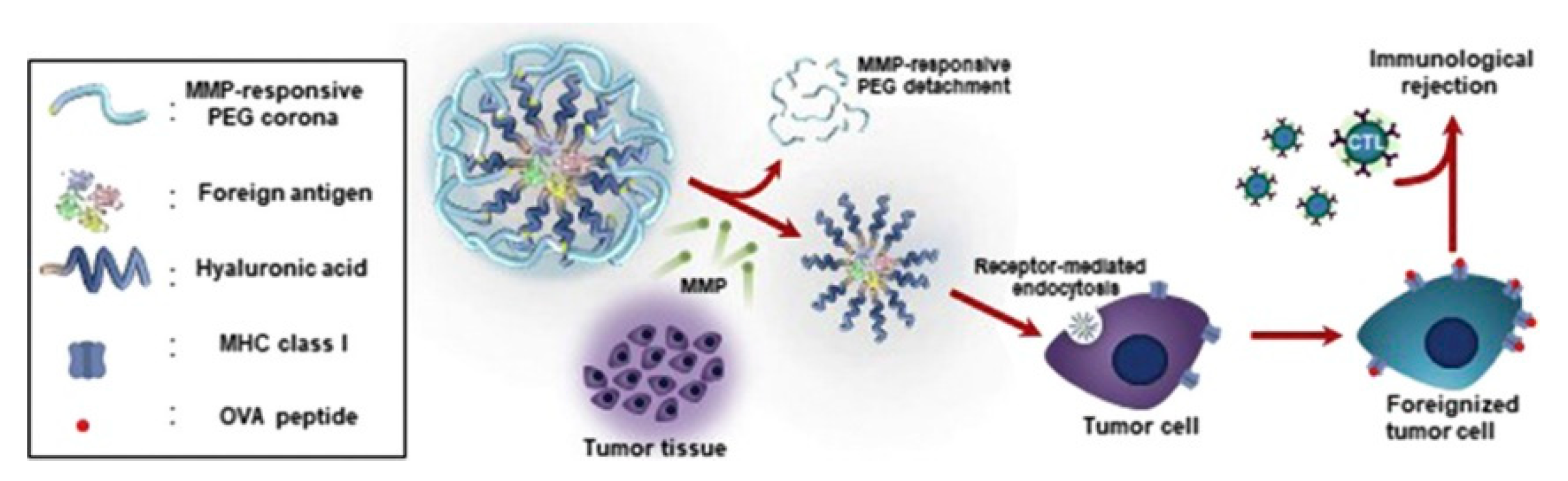 Nanomaterials 12 02851 g007