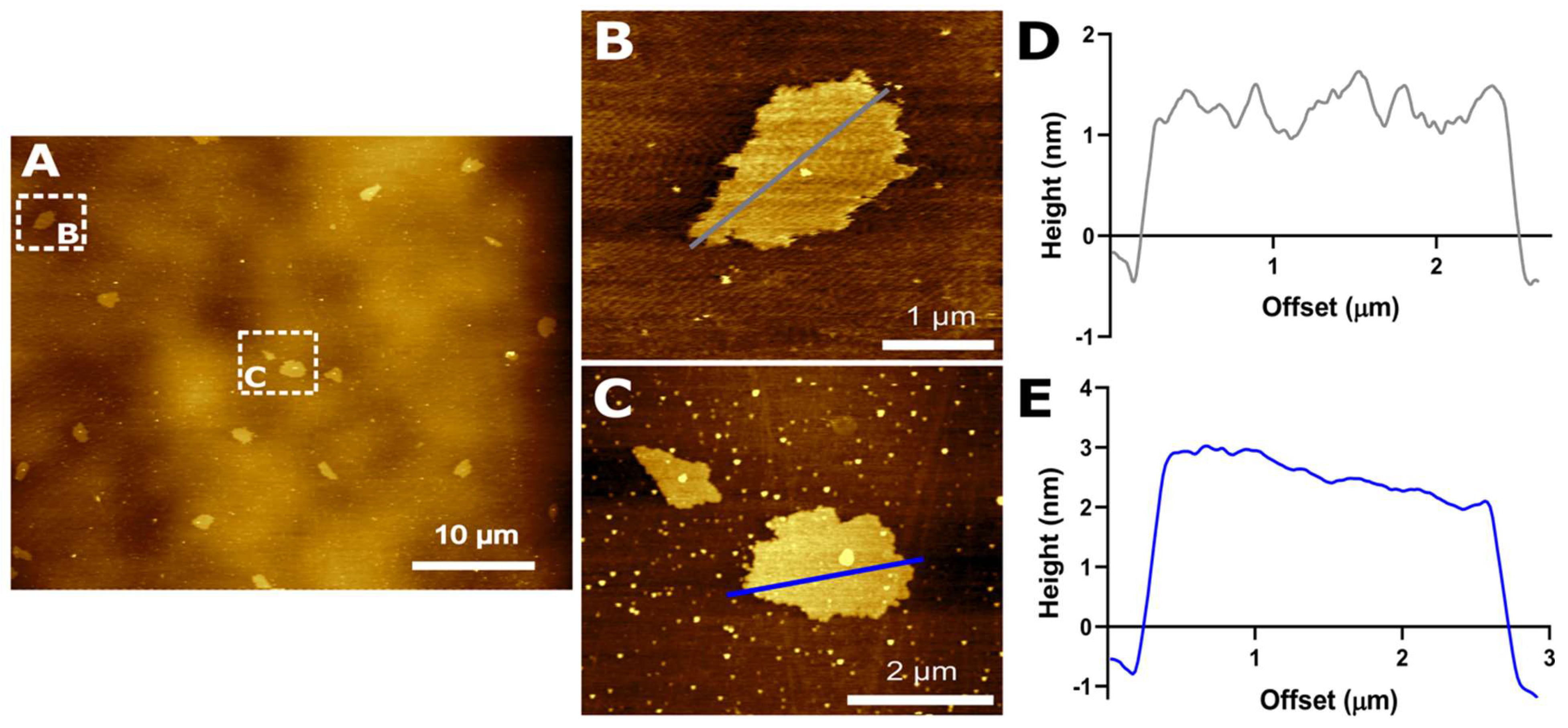 Nanomaterials 12 02857 g002 550