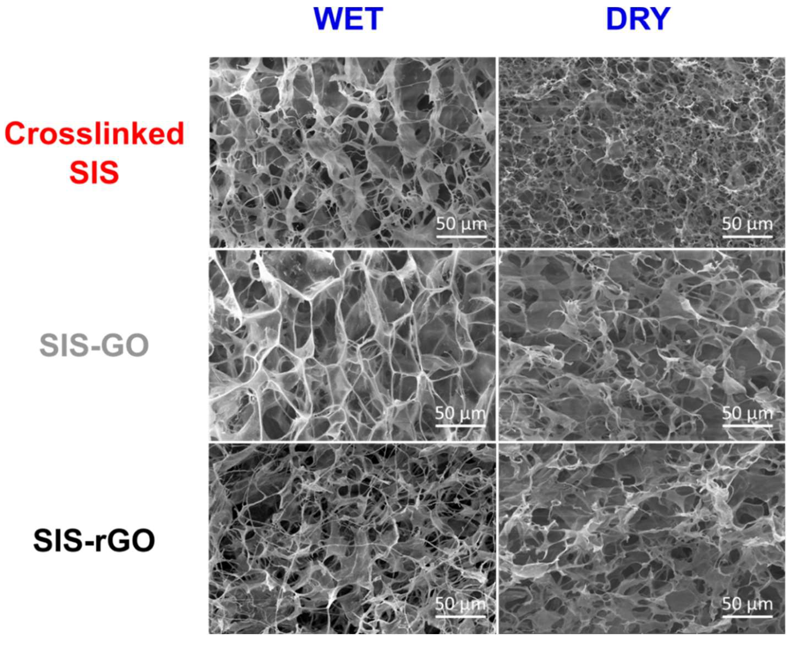 Nanomaterials 12 02857 g004 550