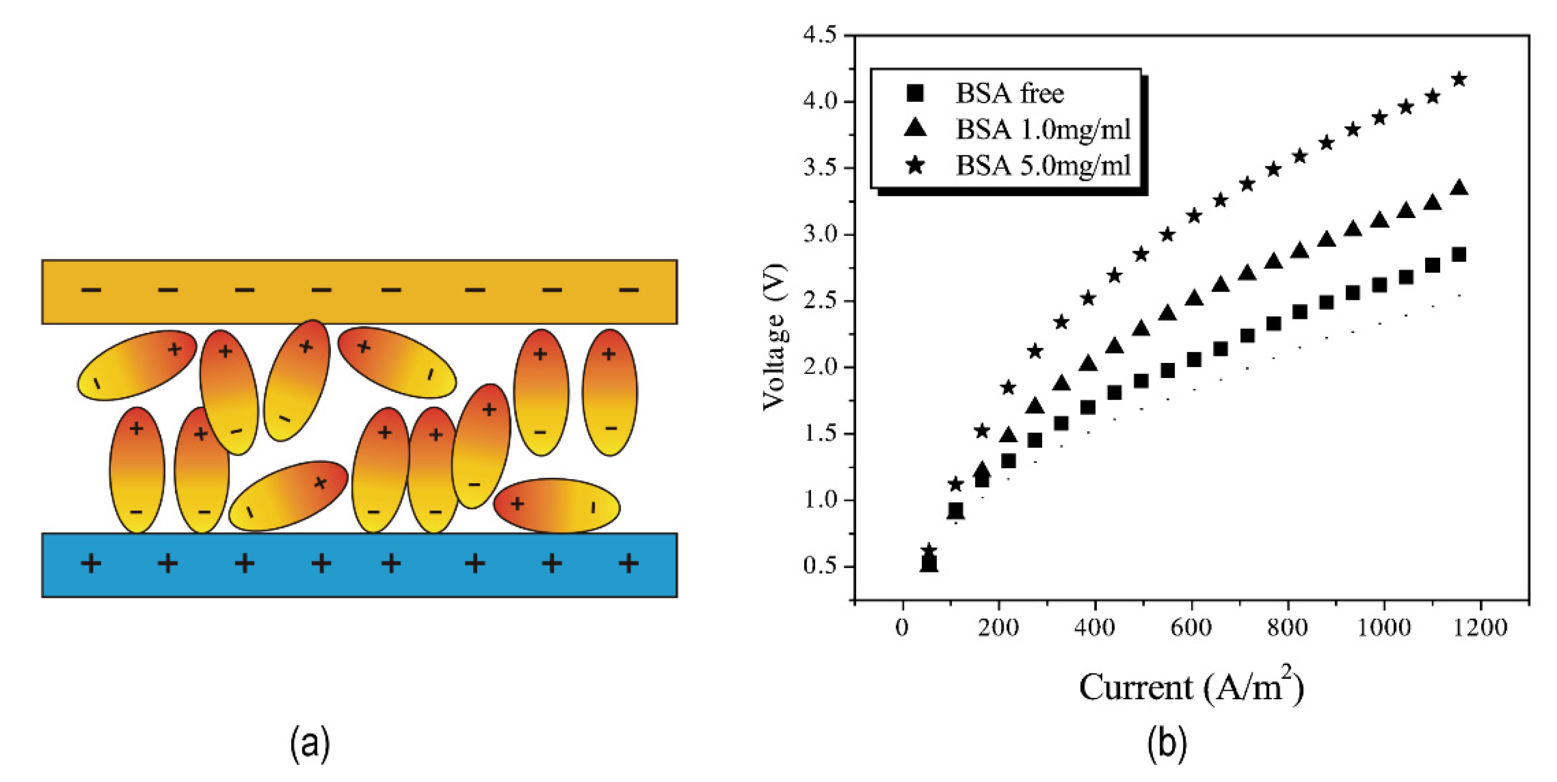 Nanomaterials 12 02874 g005 550