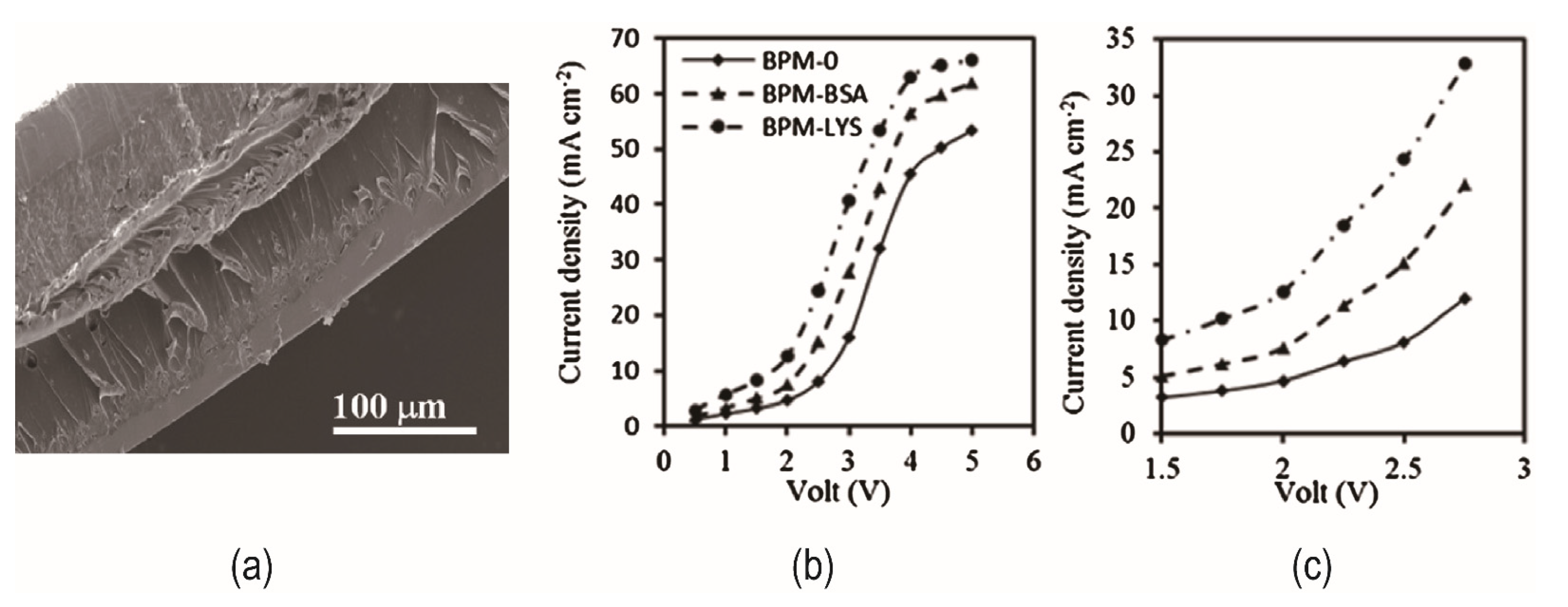 Nanomaterials 12 02874 g006 550