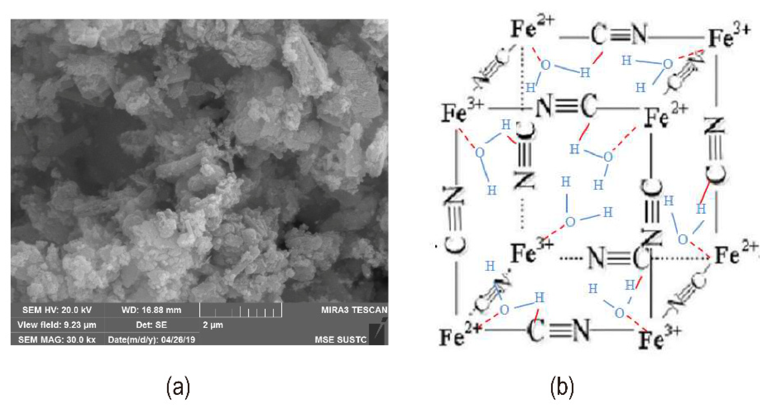 Nanomaterials 12 02874 g010 550