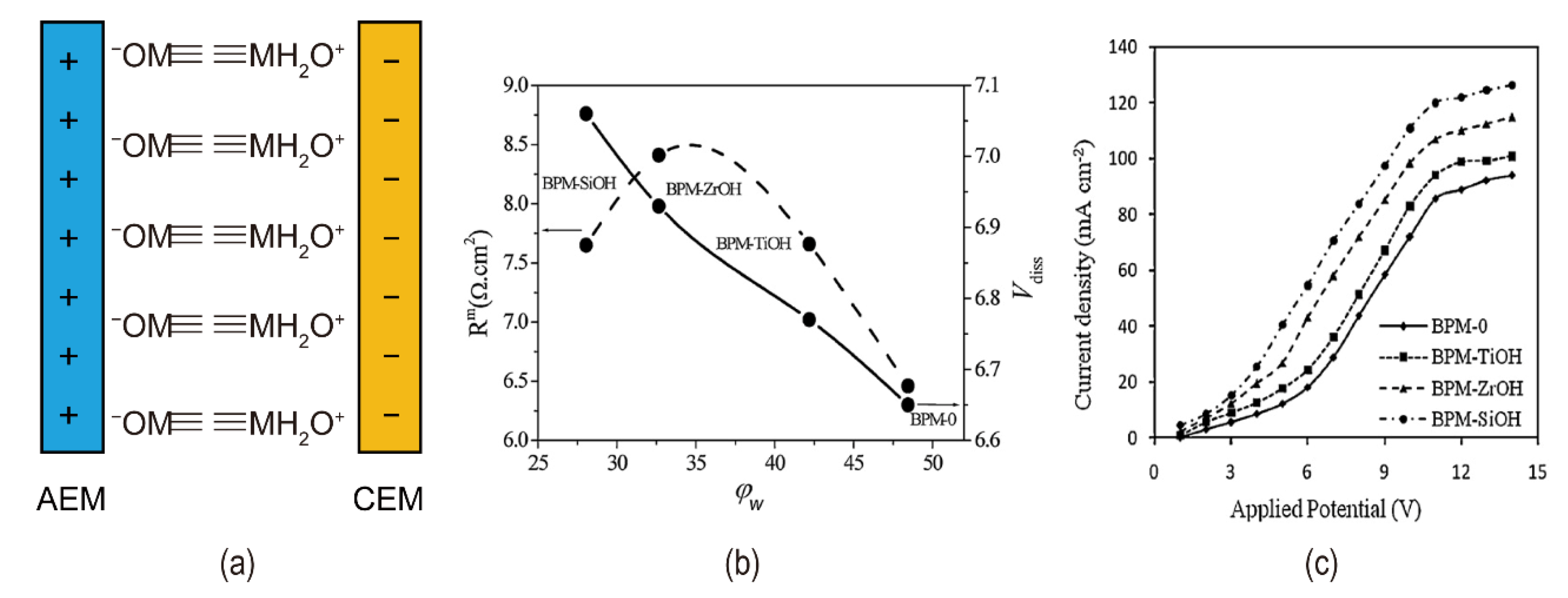 Nanomaterials 12 02874 g011 550