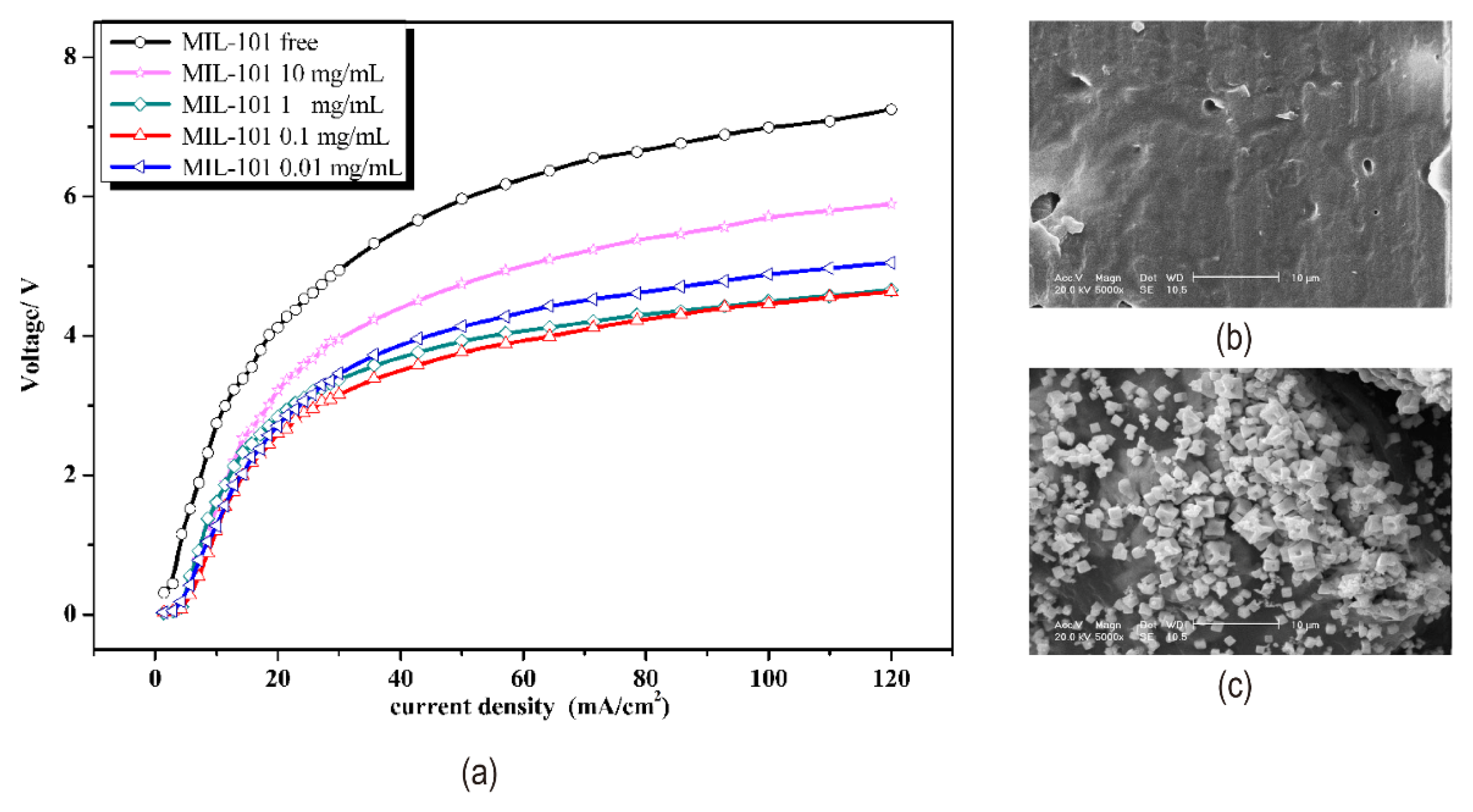 Nanomaterials 12 02874 g015 550