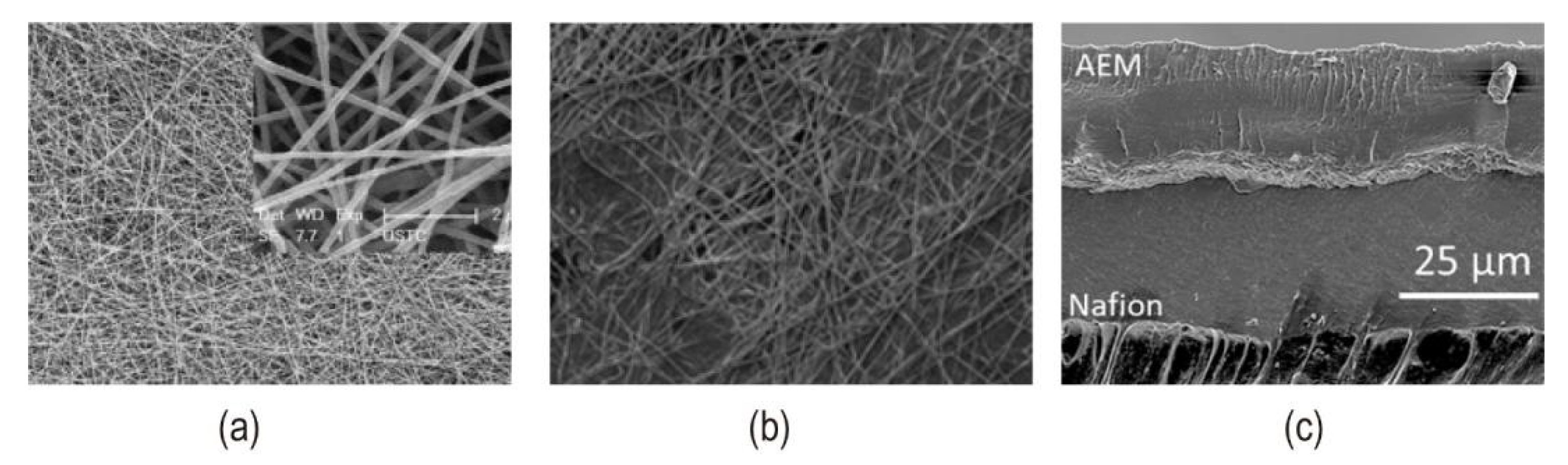 Nanomaterials 12 02874 g018 550