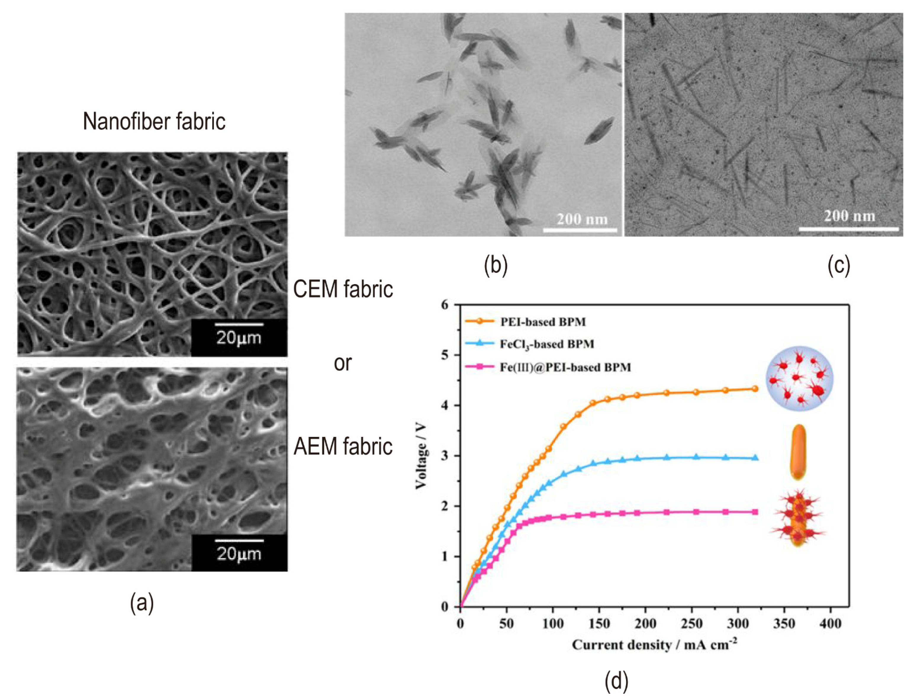 Nanomaterials 12 02874 g019 550