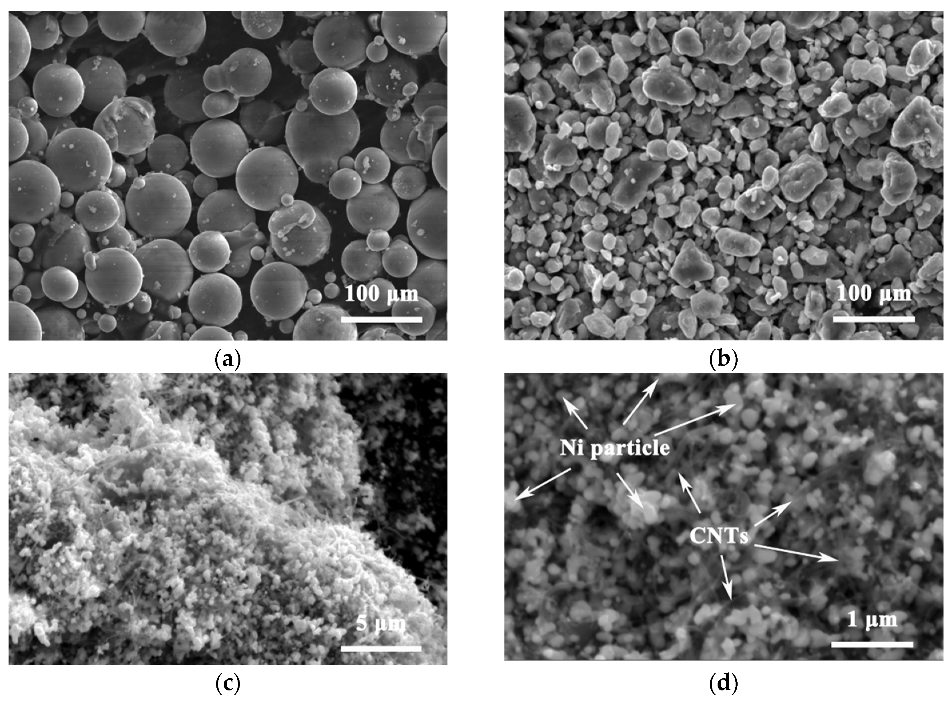 Nanomaterials 12 02877 g002 550