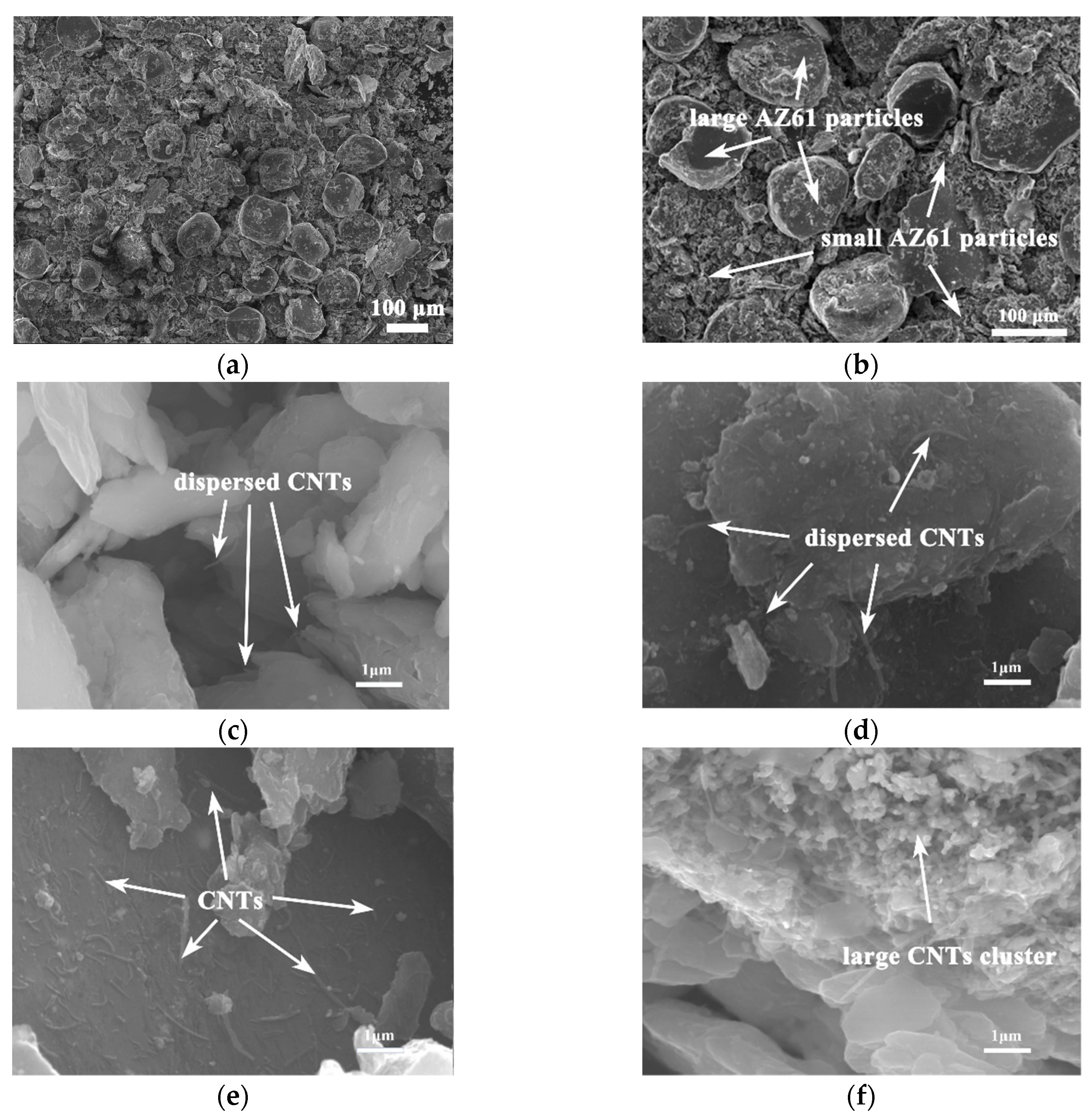 Nanomaterials 12 02877 g004 550