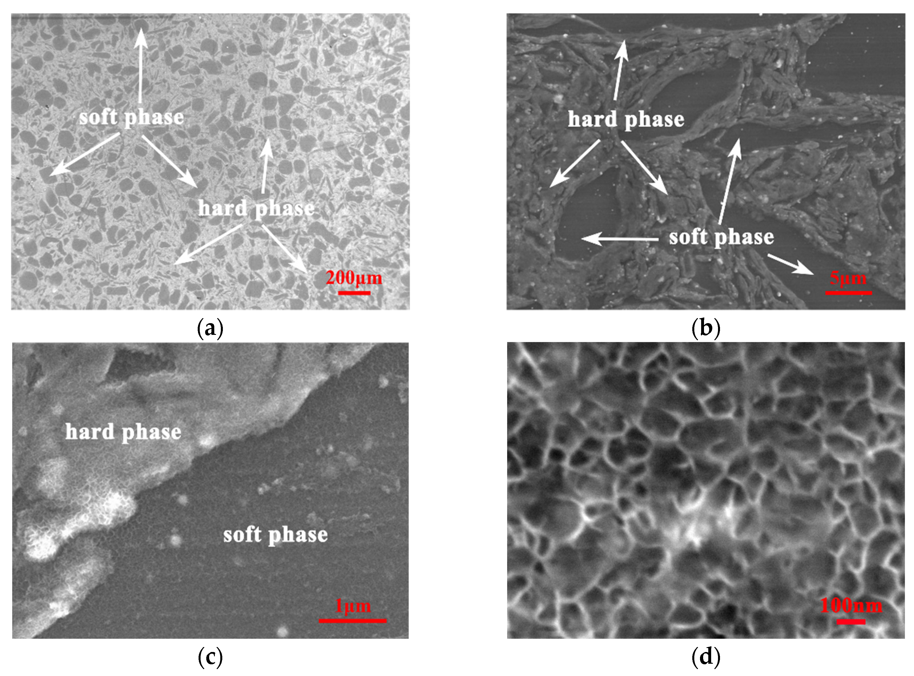 Nanomaterials 12 02877 g006 550