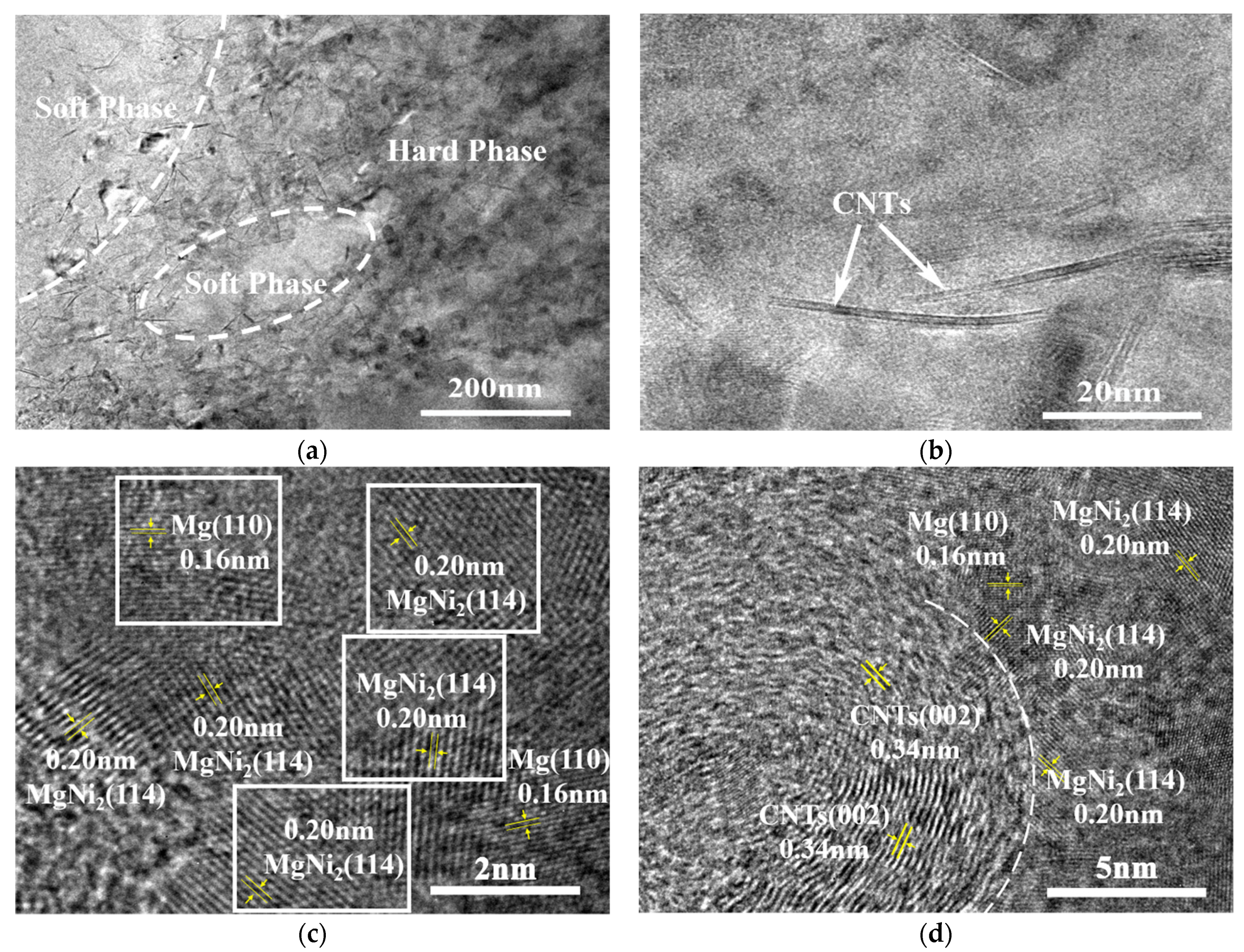 Nanomaterials 12 02877 g008 550