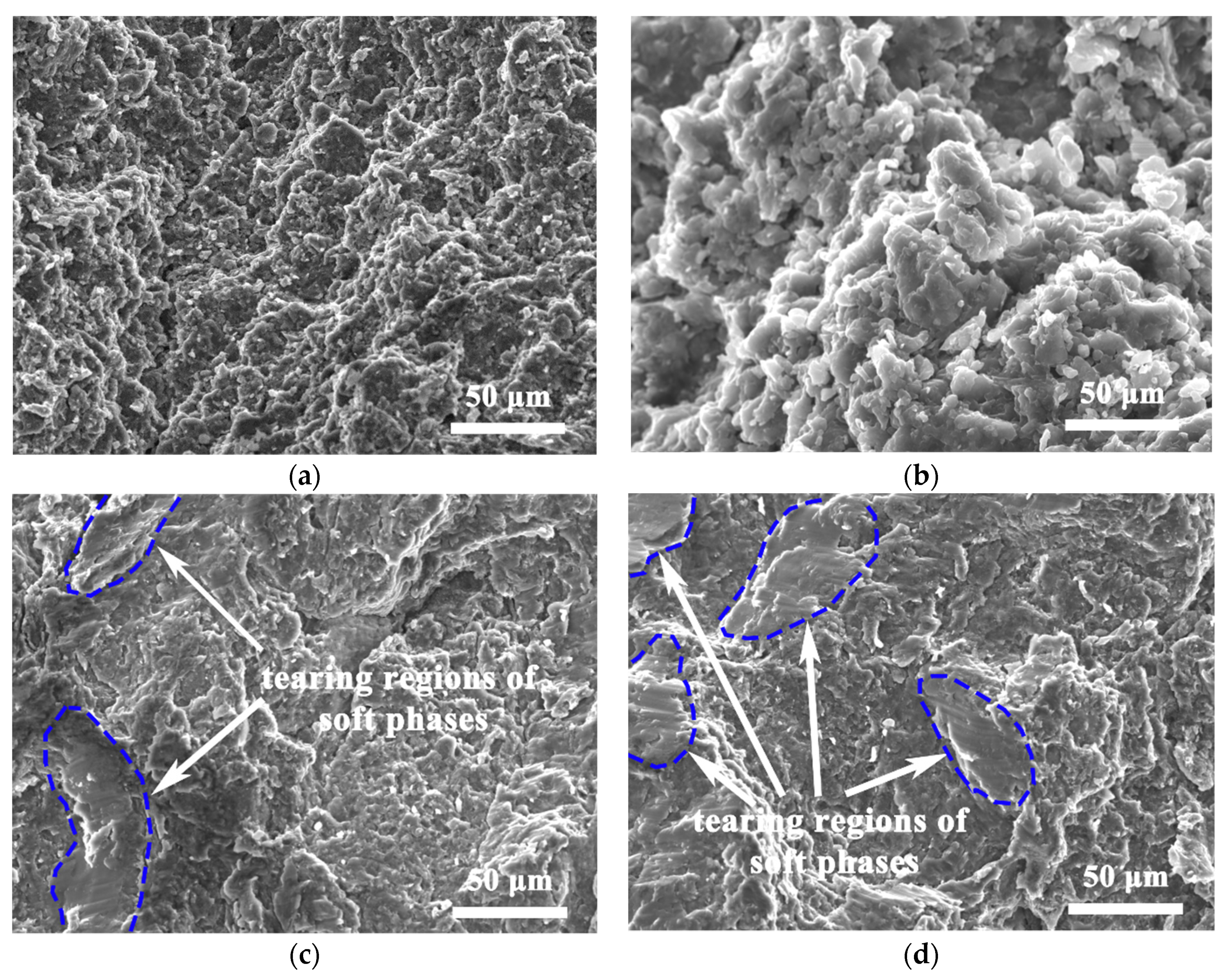 Nanomaterials 12 02877 g011 550