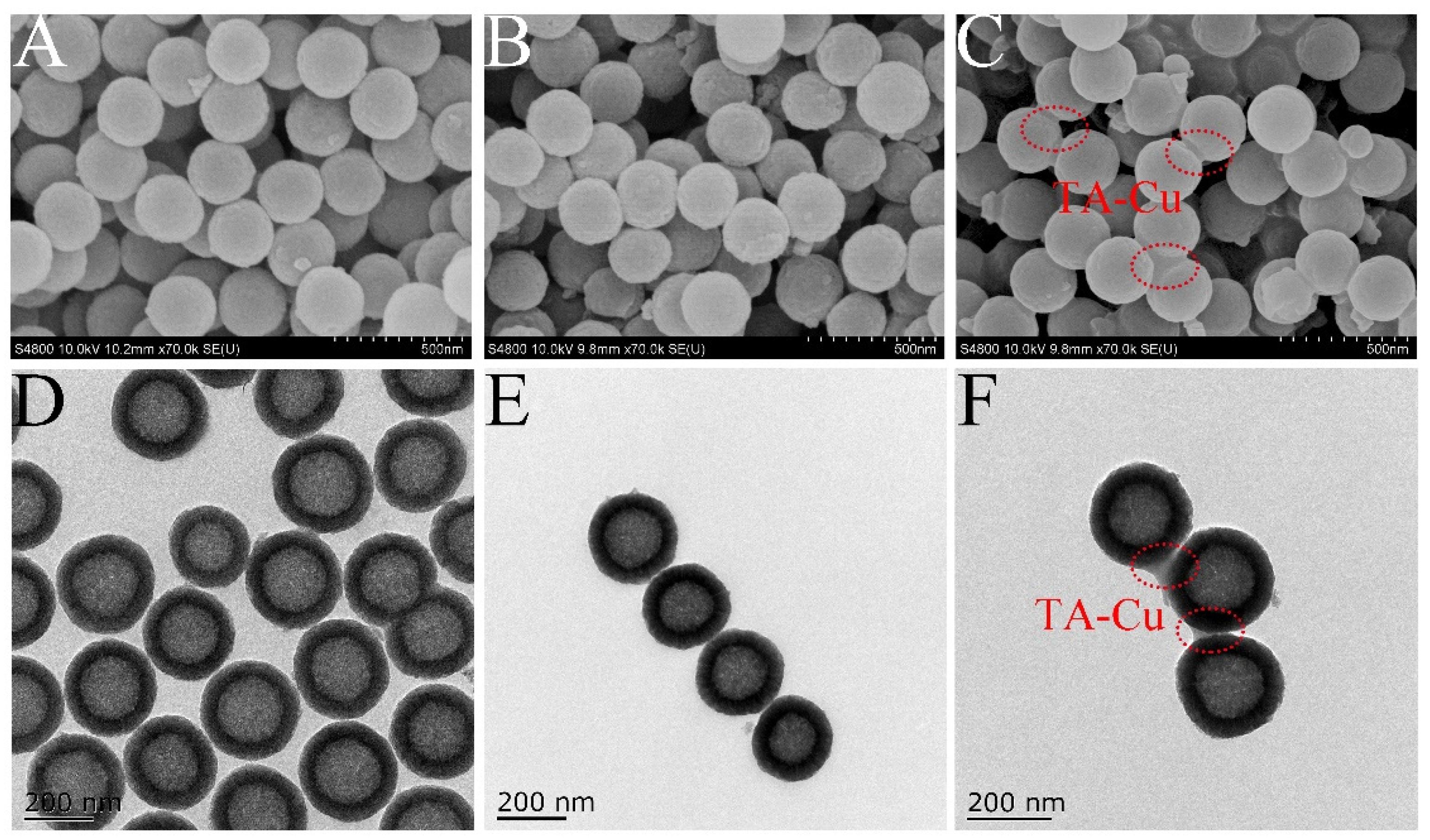 Nanomaterials 12 02885 g001 550