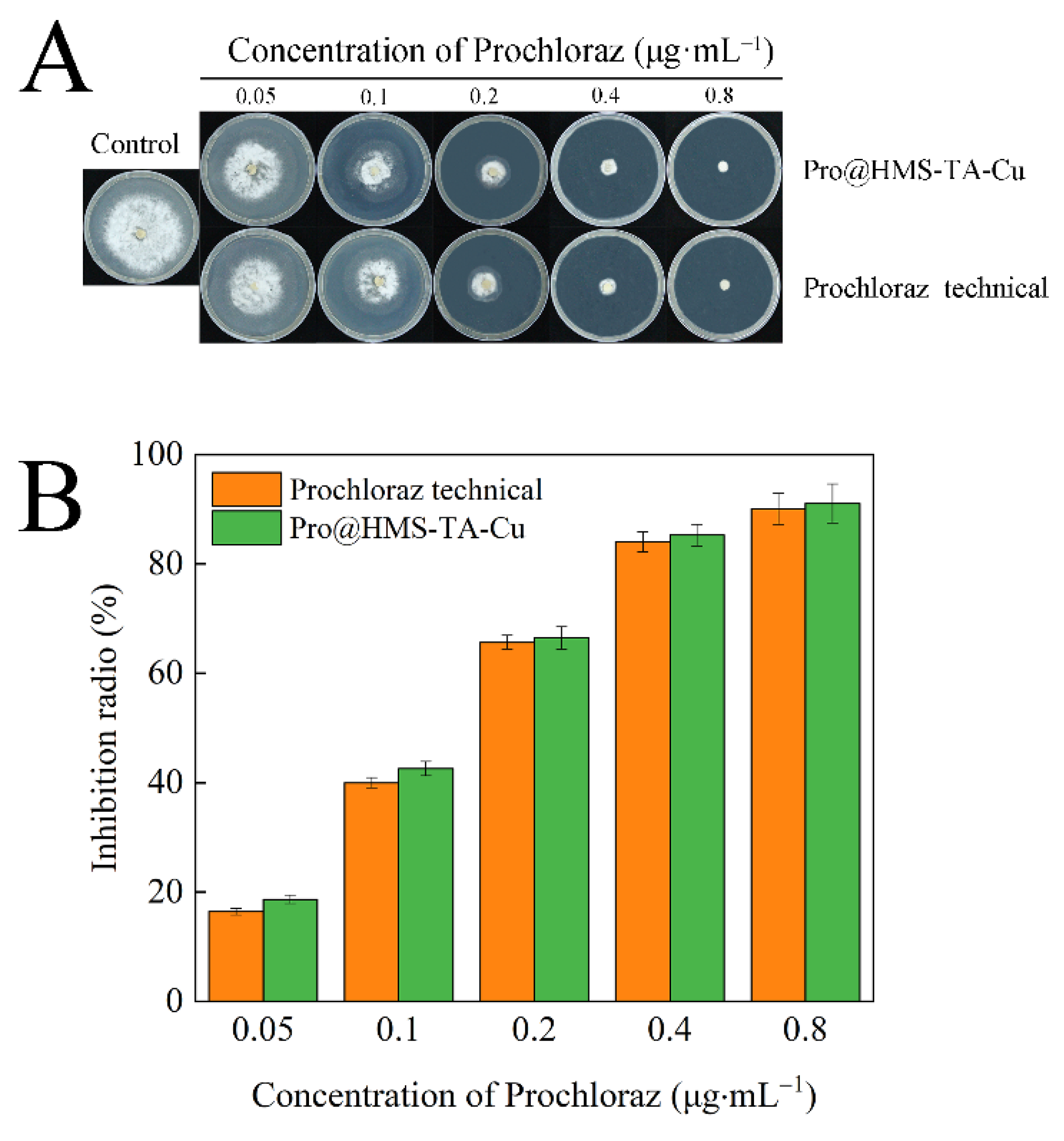 Nanomaterials 12 02885 g008 550