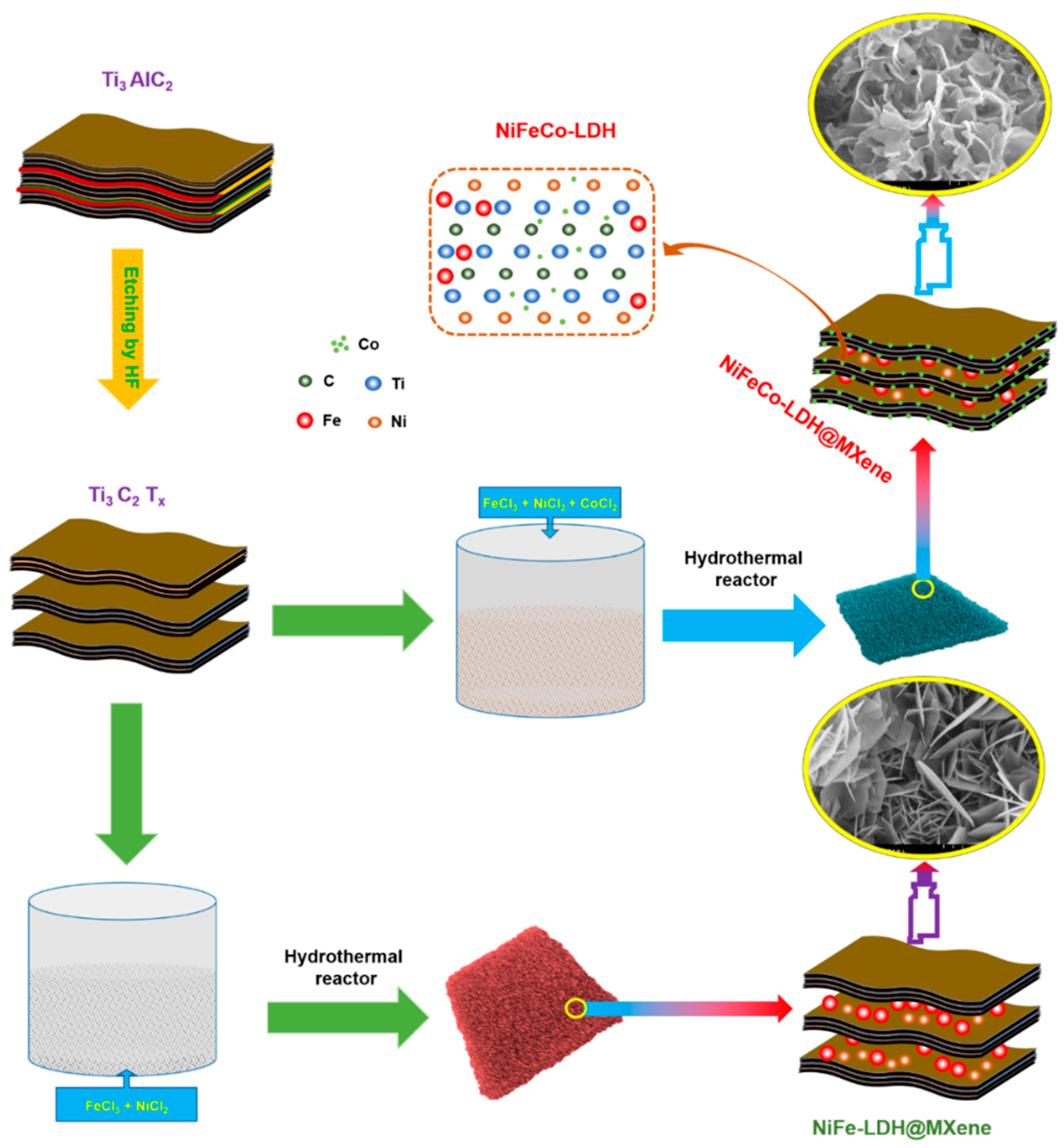 Nanomaterials 12 02886 g001