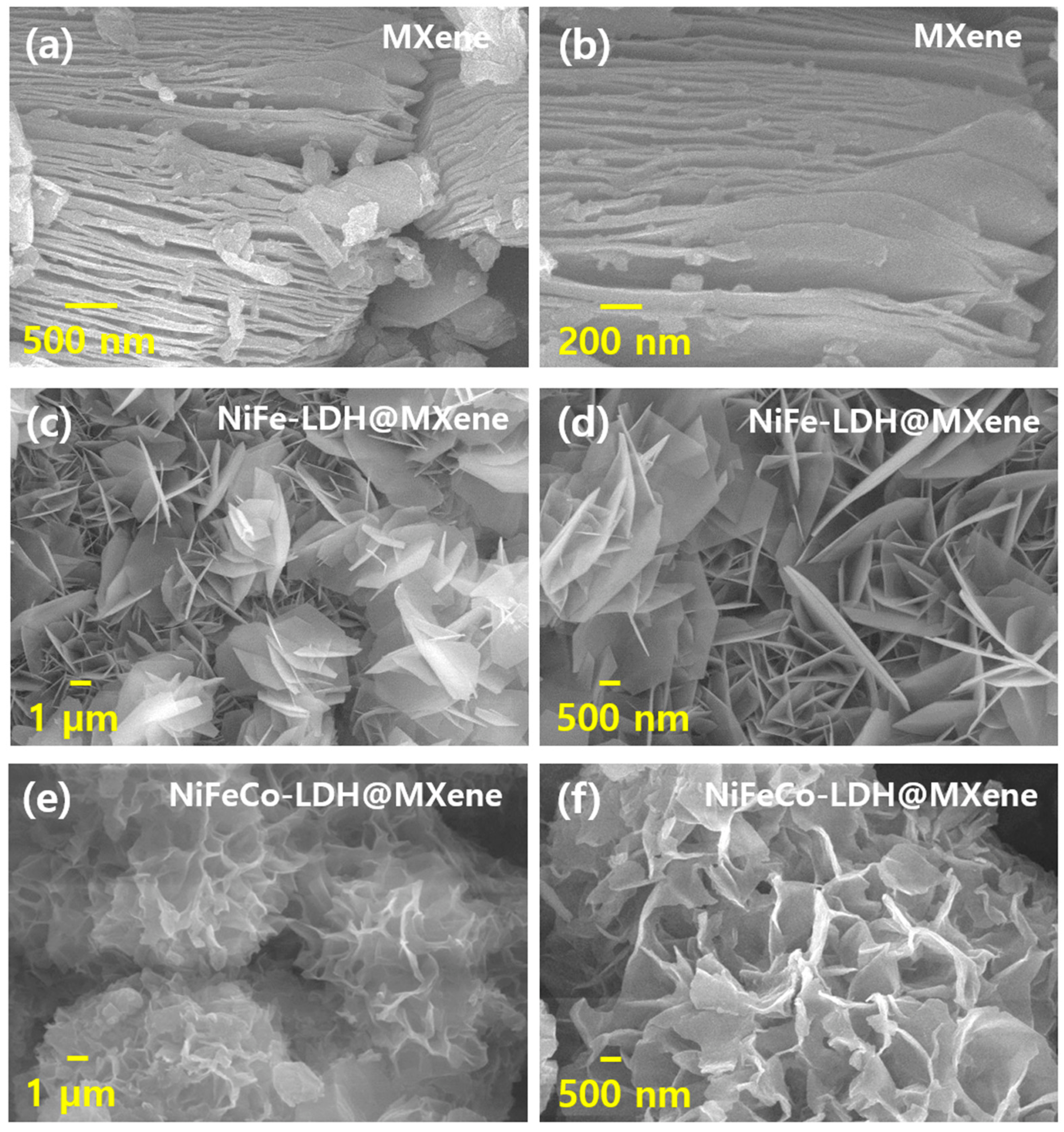 Nanomaterials 12 02886 g002