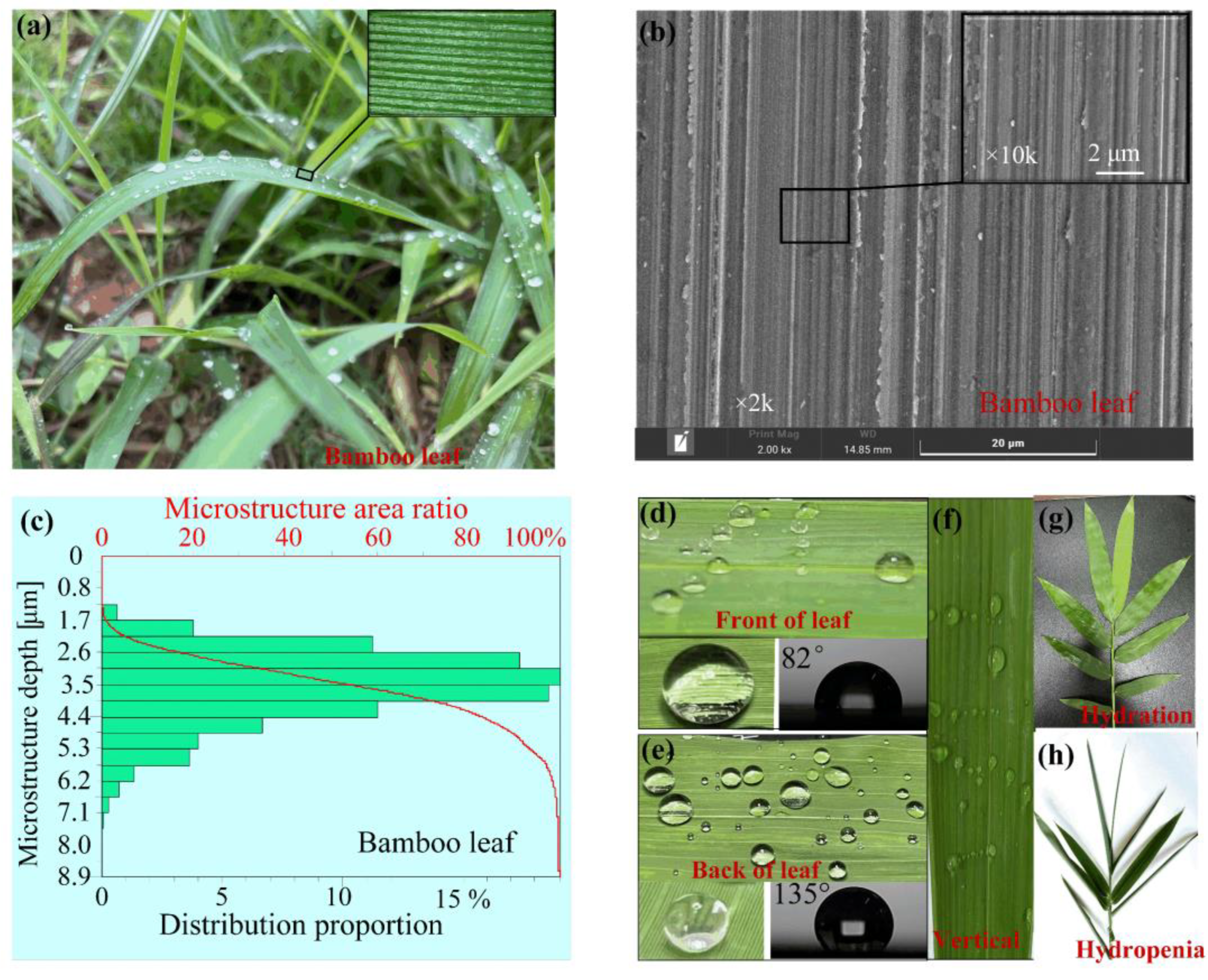 Nanomaterials 12 02888 g001 550