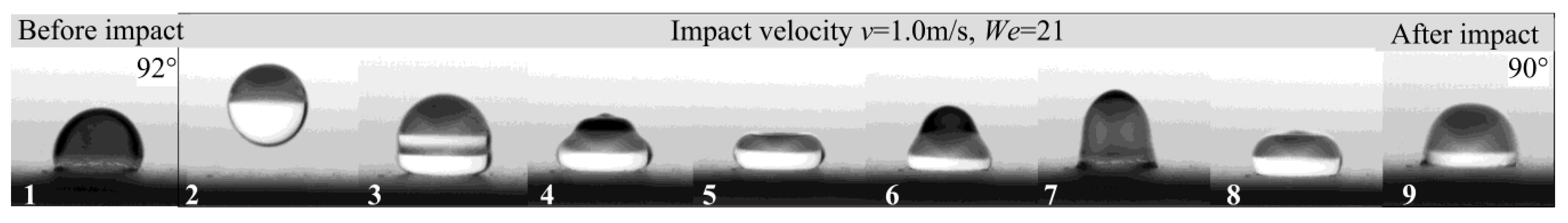 Nanomaterials 12 02888 g009 550