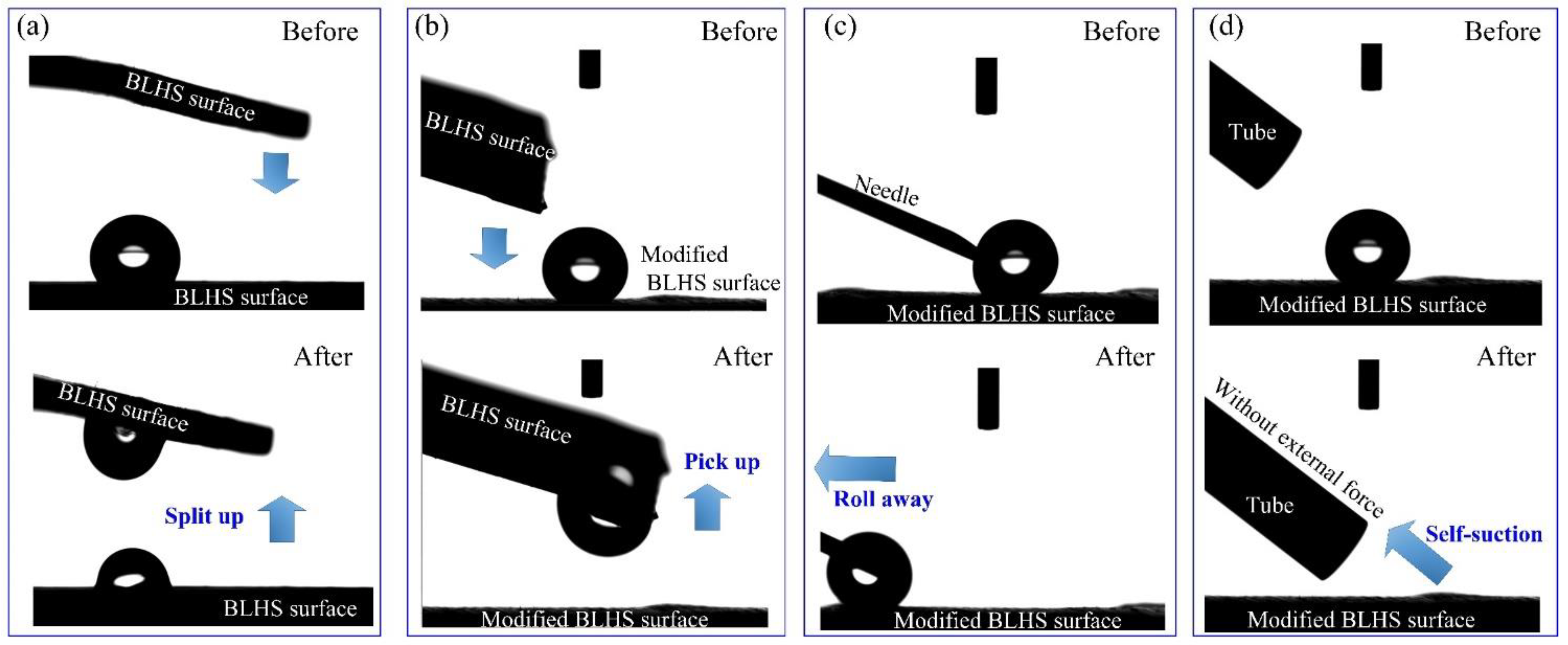 Nanomaterials 12 02888 g010 550