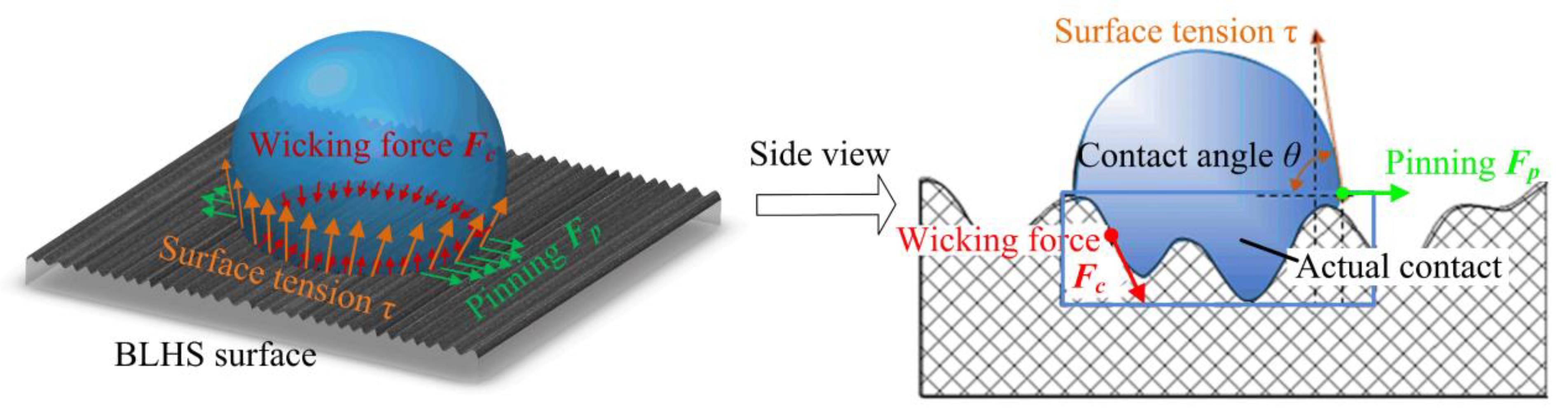 Nanomaterials 12 02888 g012 550