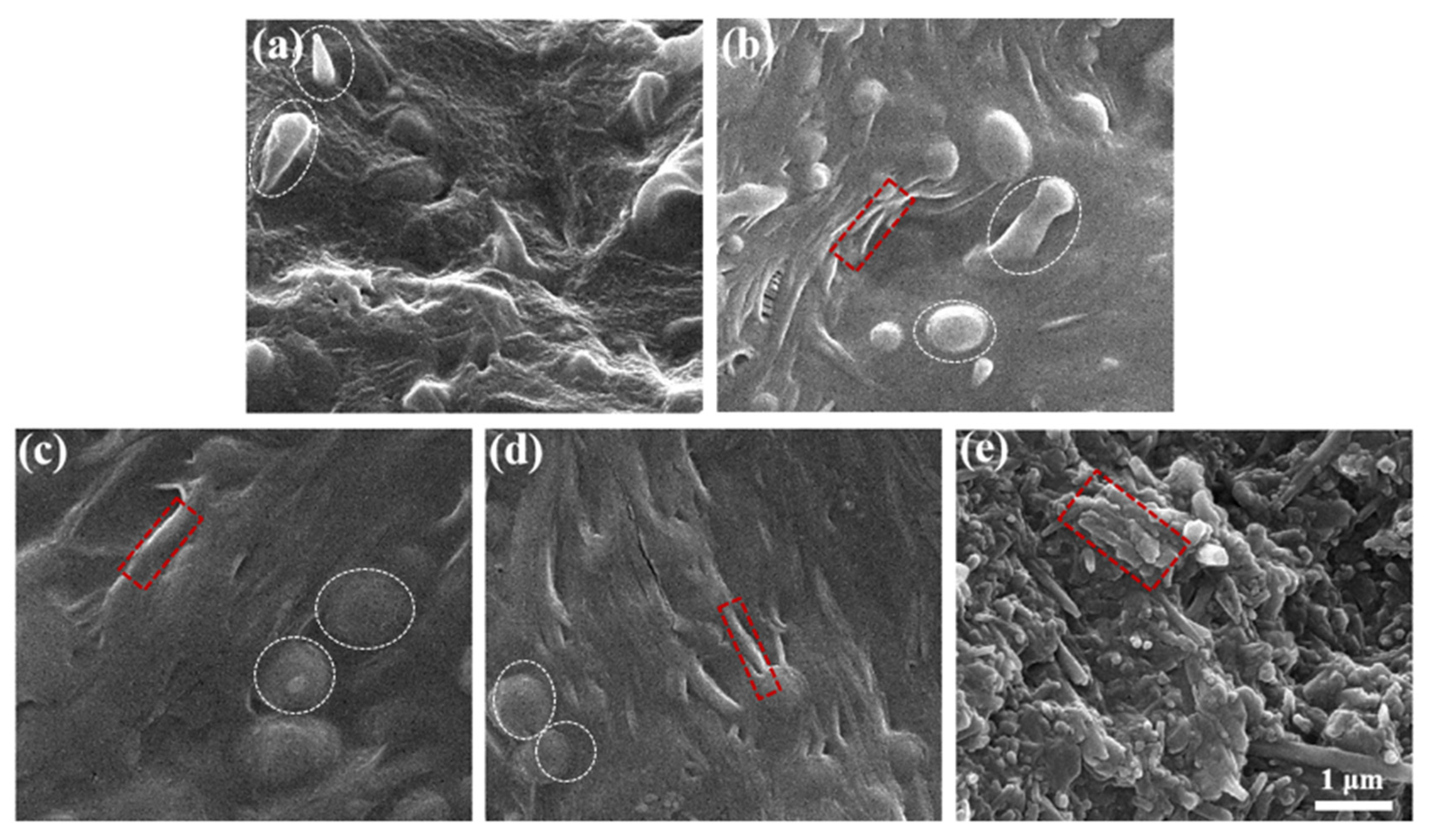 Nanomaterials 12 02896 g005 550