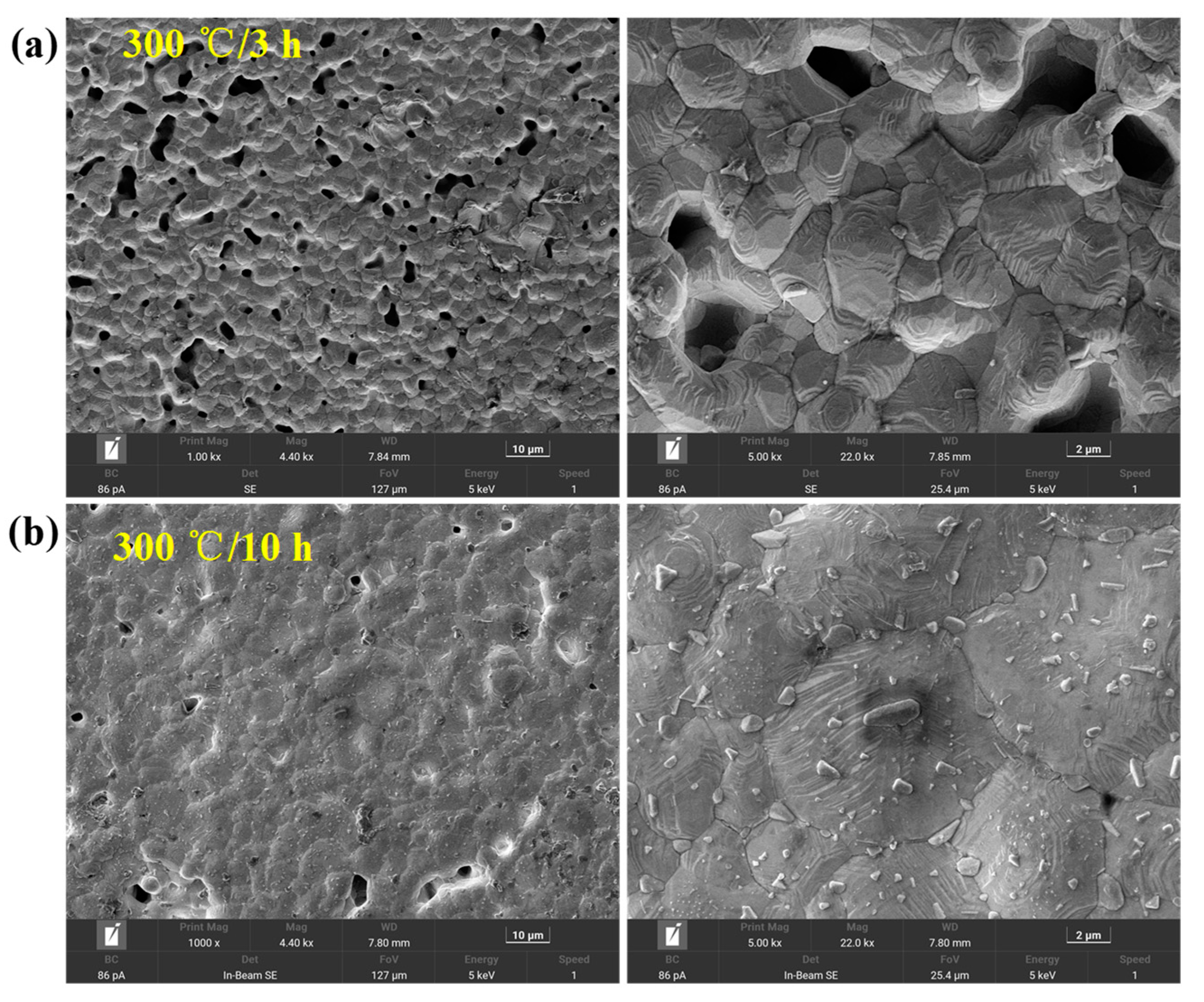 Nanomaterials 12 02899 g003