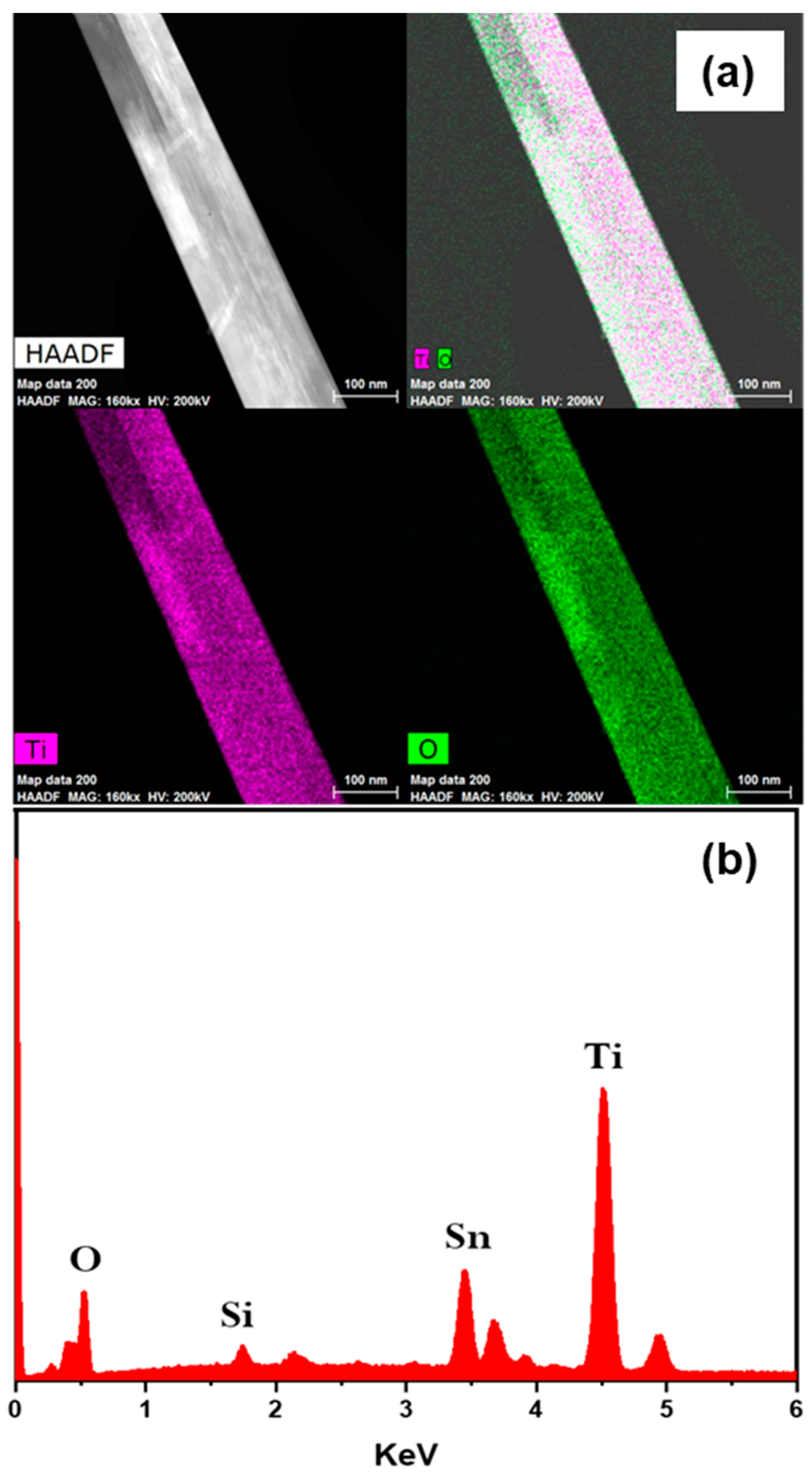 Nanomaterials 12 02904 g005