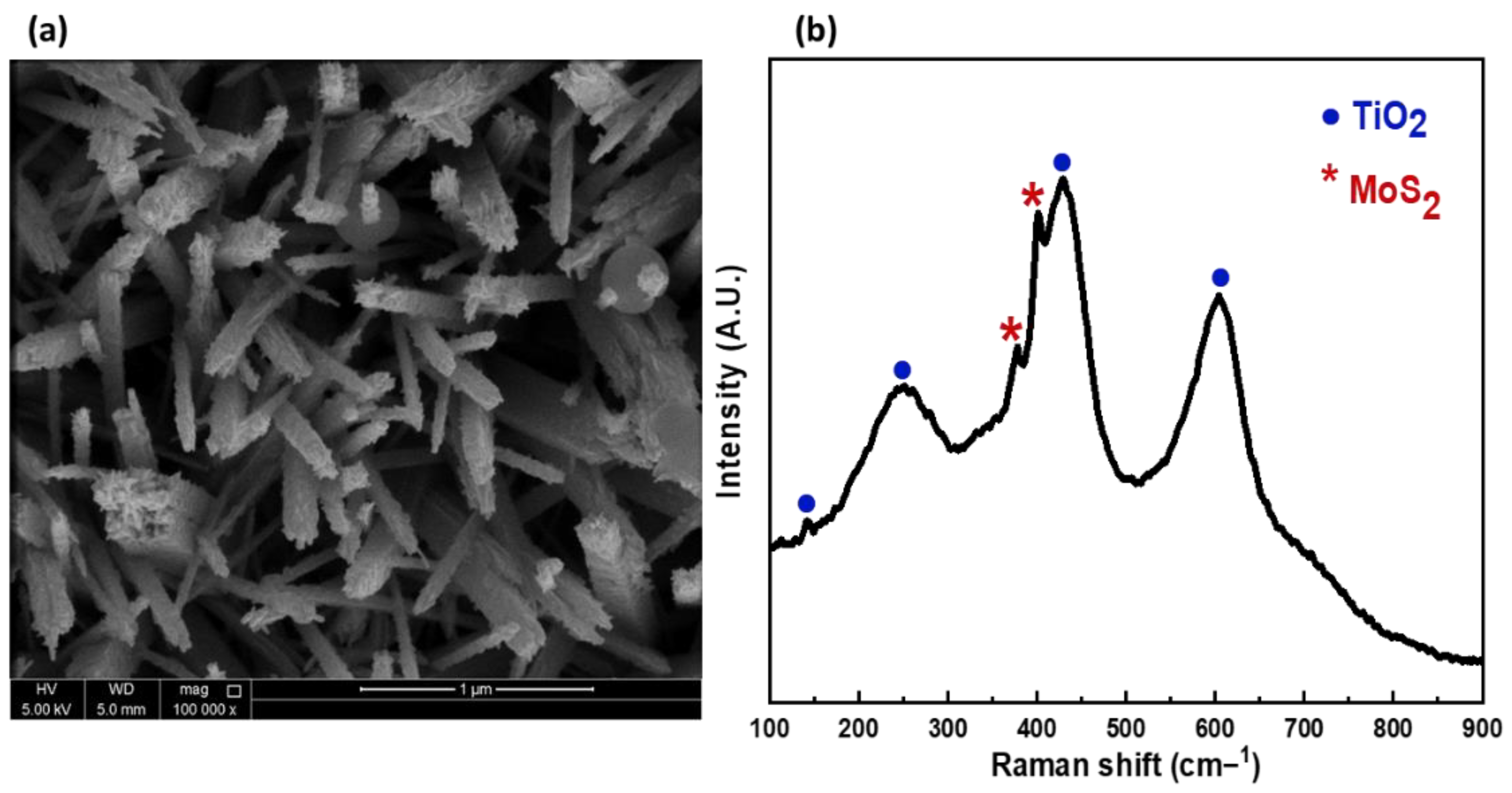 Nanomaterials Free FullText Morphology Control of TiO2 Nanorods