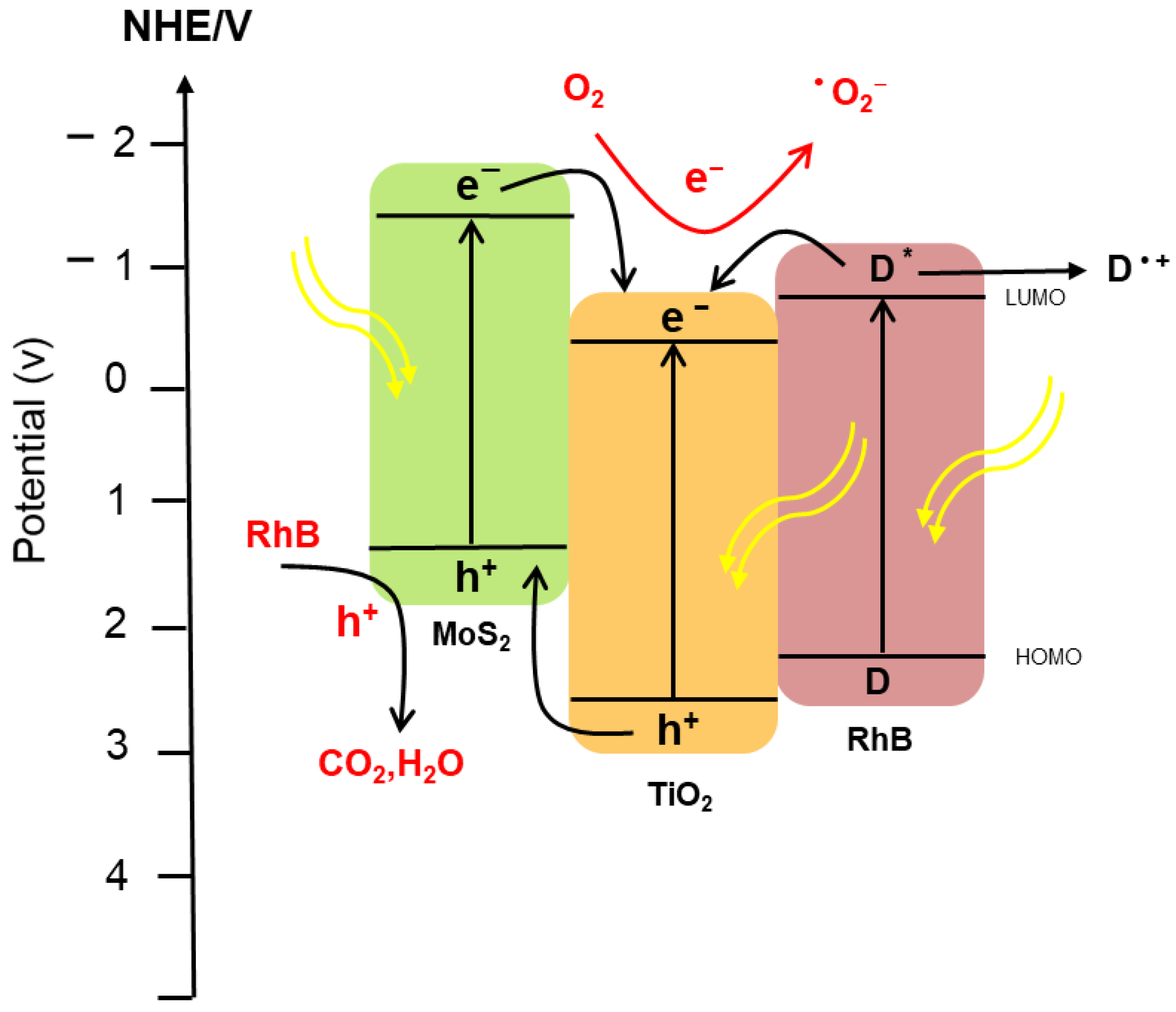 Nanomaterials 12 02904 g008