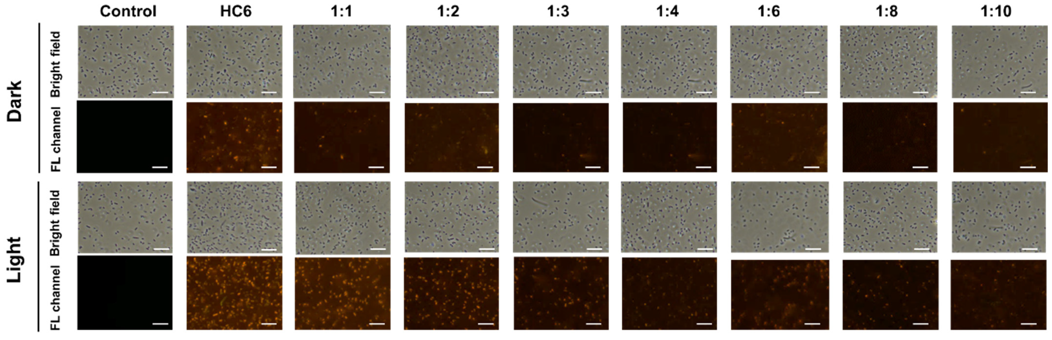 Nanomaterials 12 02905 g005 550
