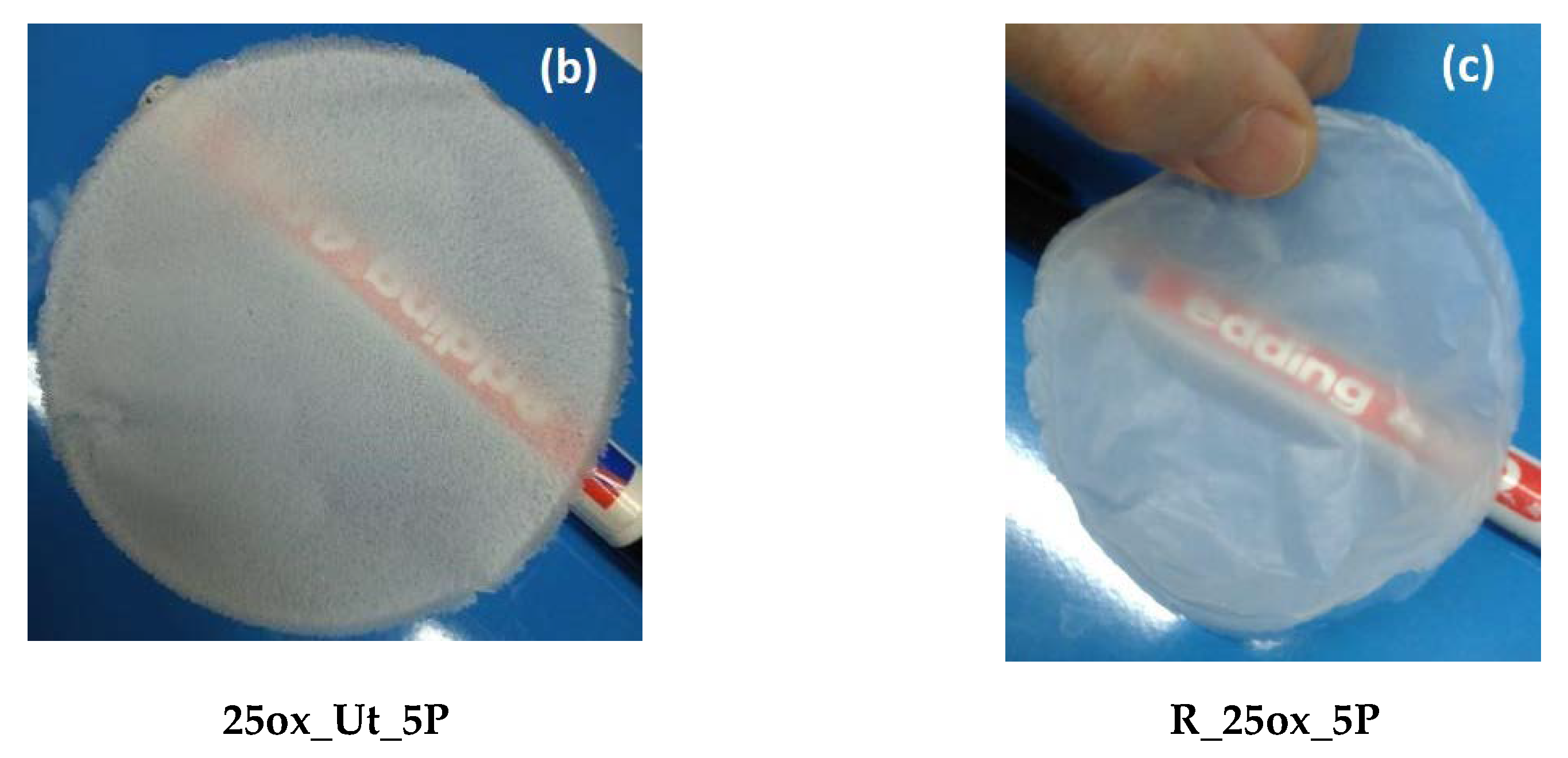 Nanomaterials 12 02908 g009b