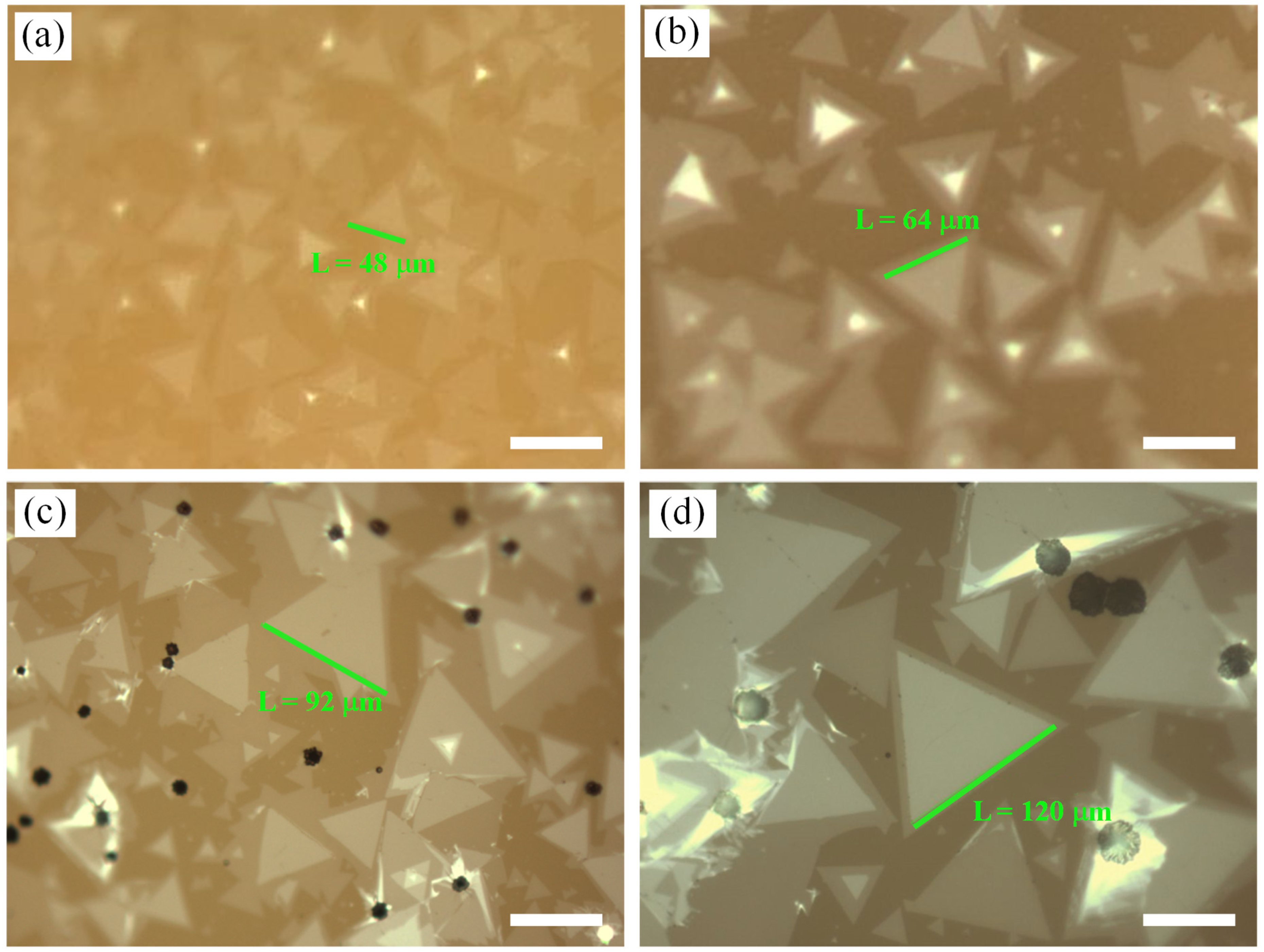 Nanomaterials 12 02913 g004