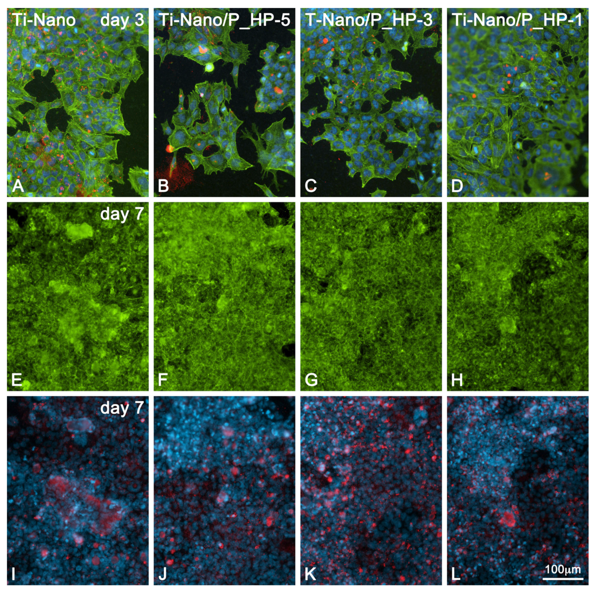 Nanomaterials 12 02916 g005