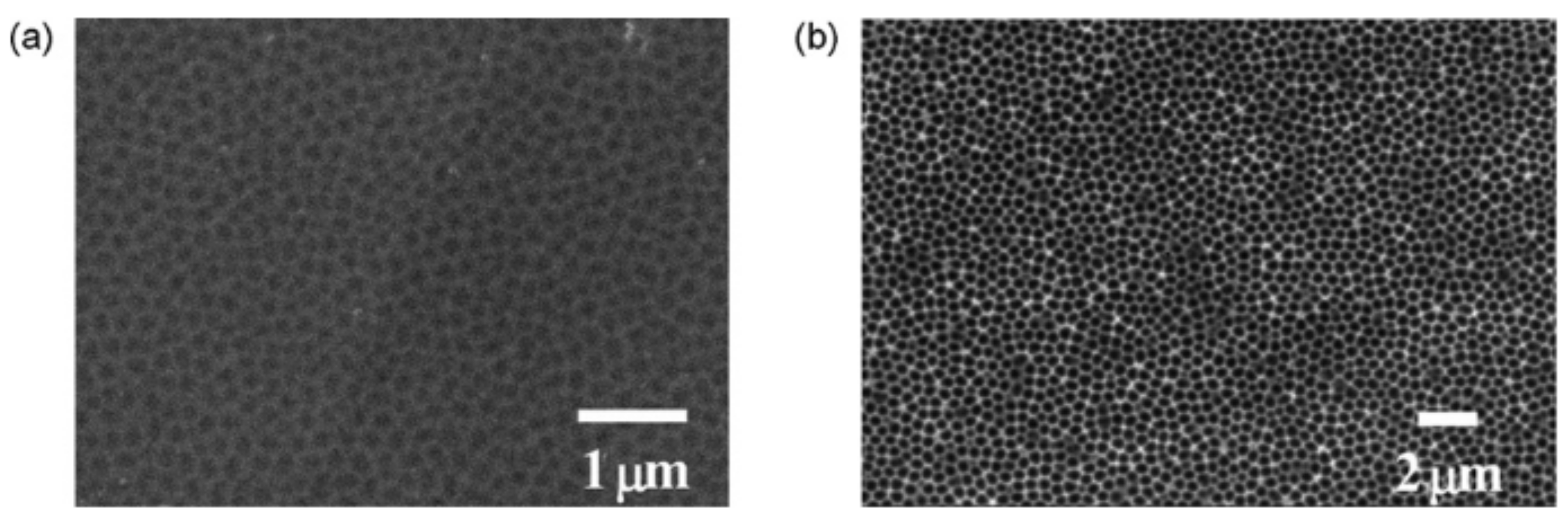 Nanomaterials 12 02924 g001