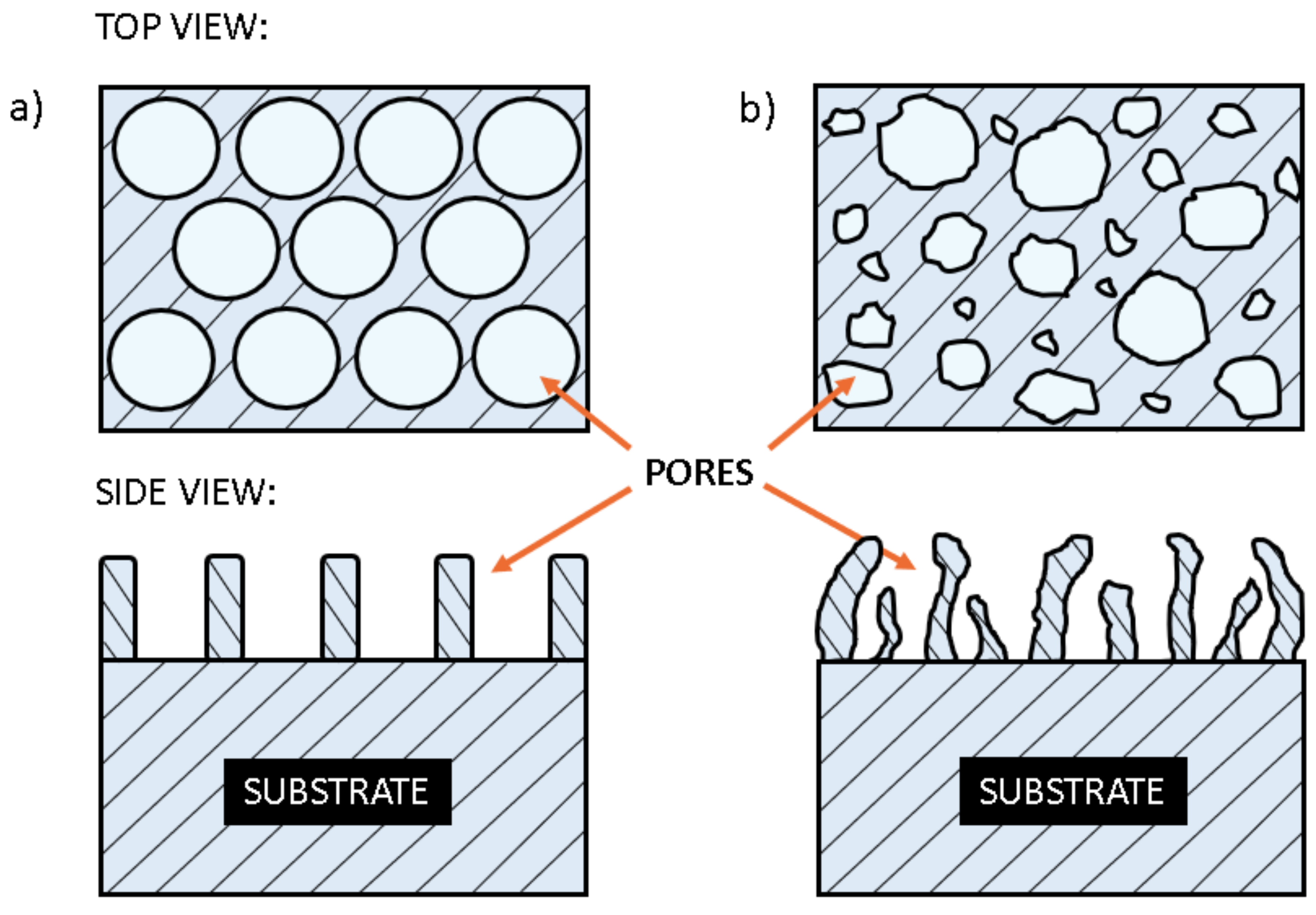 Nanomaterials 12 02924 g002