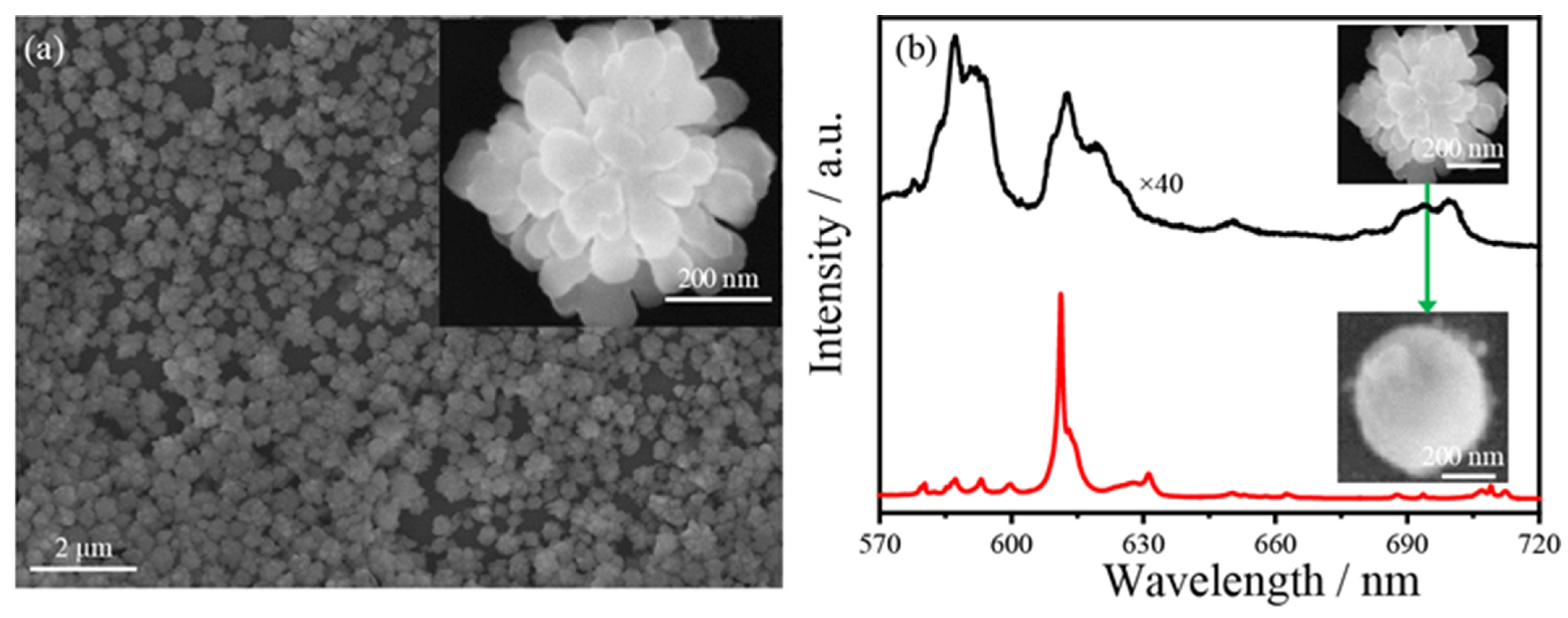 Nanomaterials 12 02927 g003