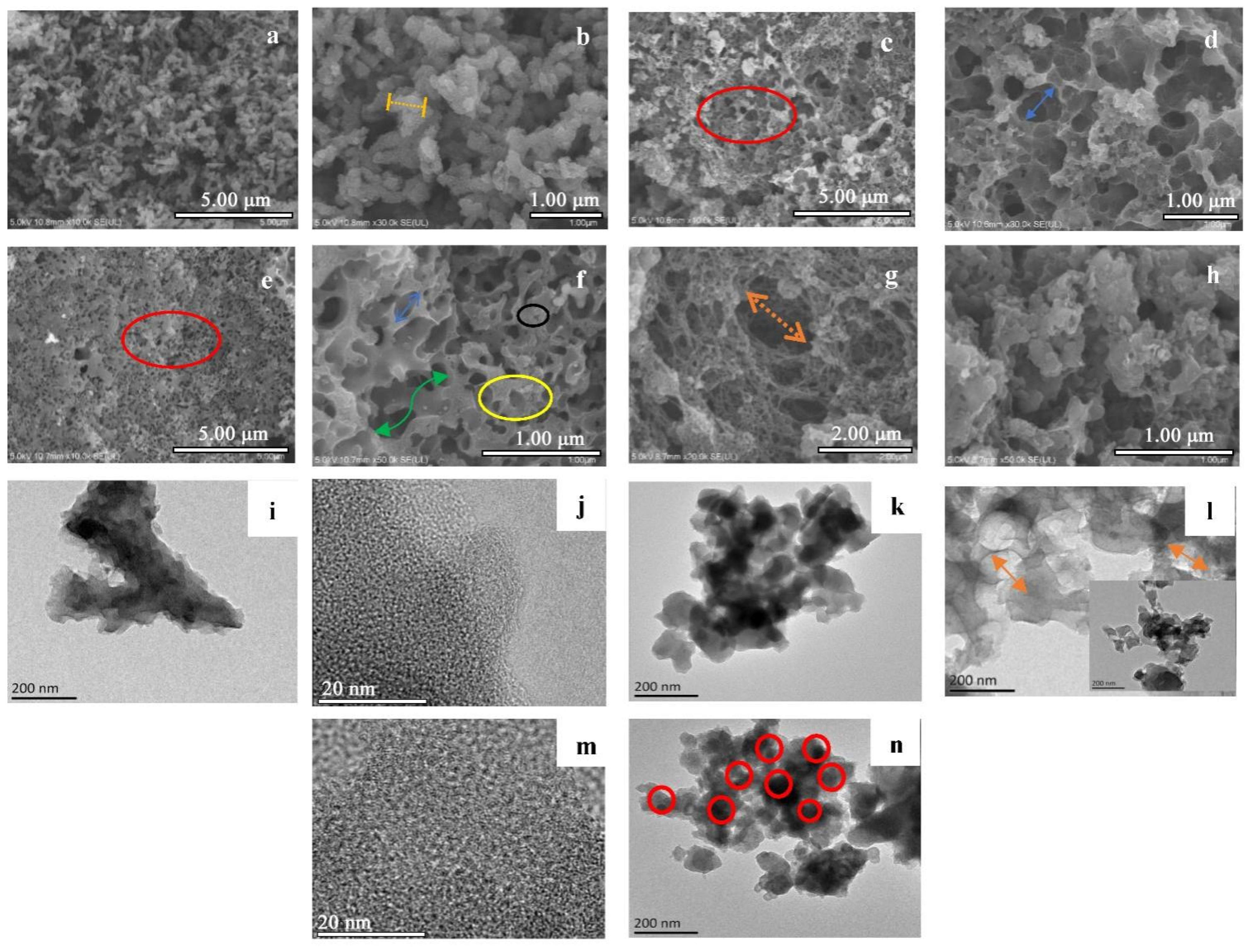 Nanomaterials 12 02931 g003