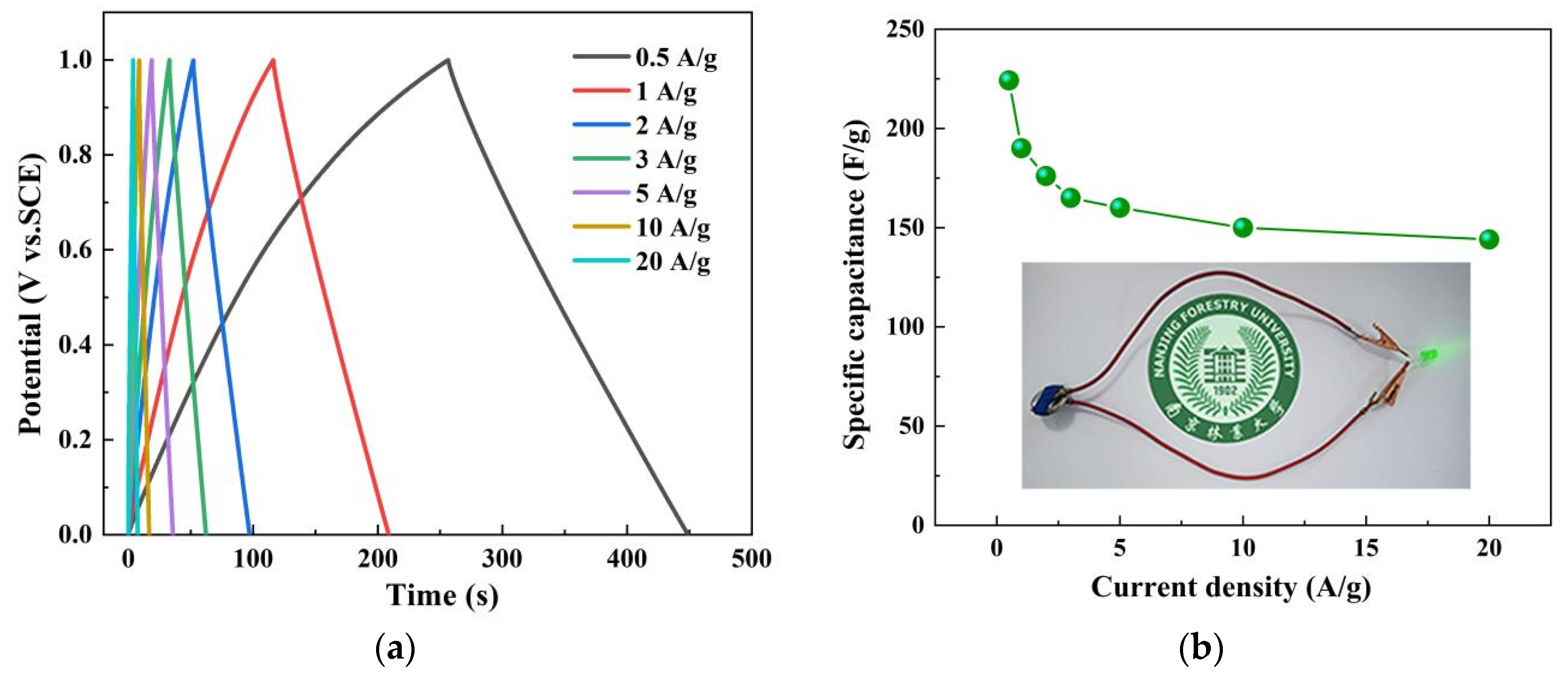 Nanomaterials 12 02931 g014