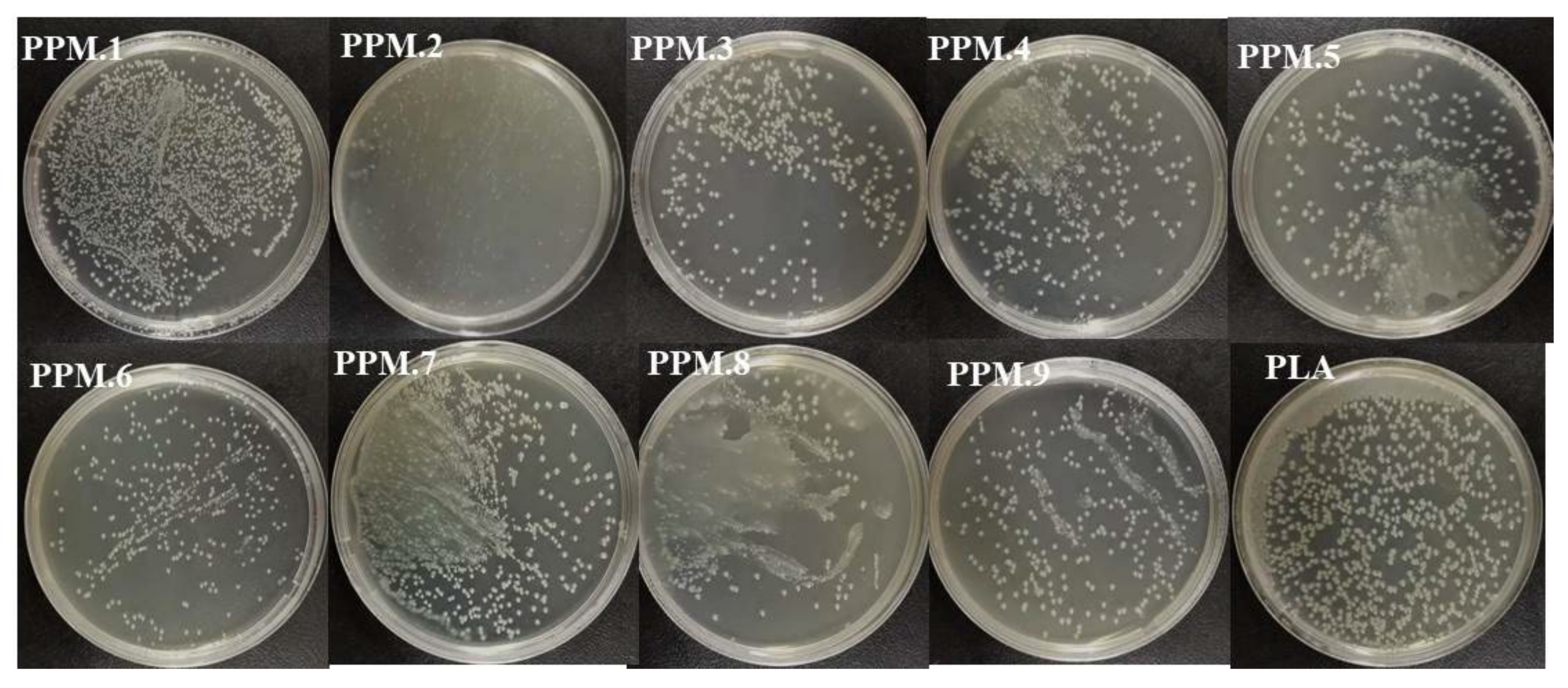 Nanomaterials 12 02932 g007 550