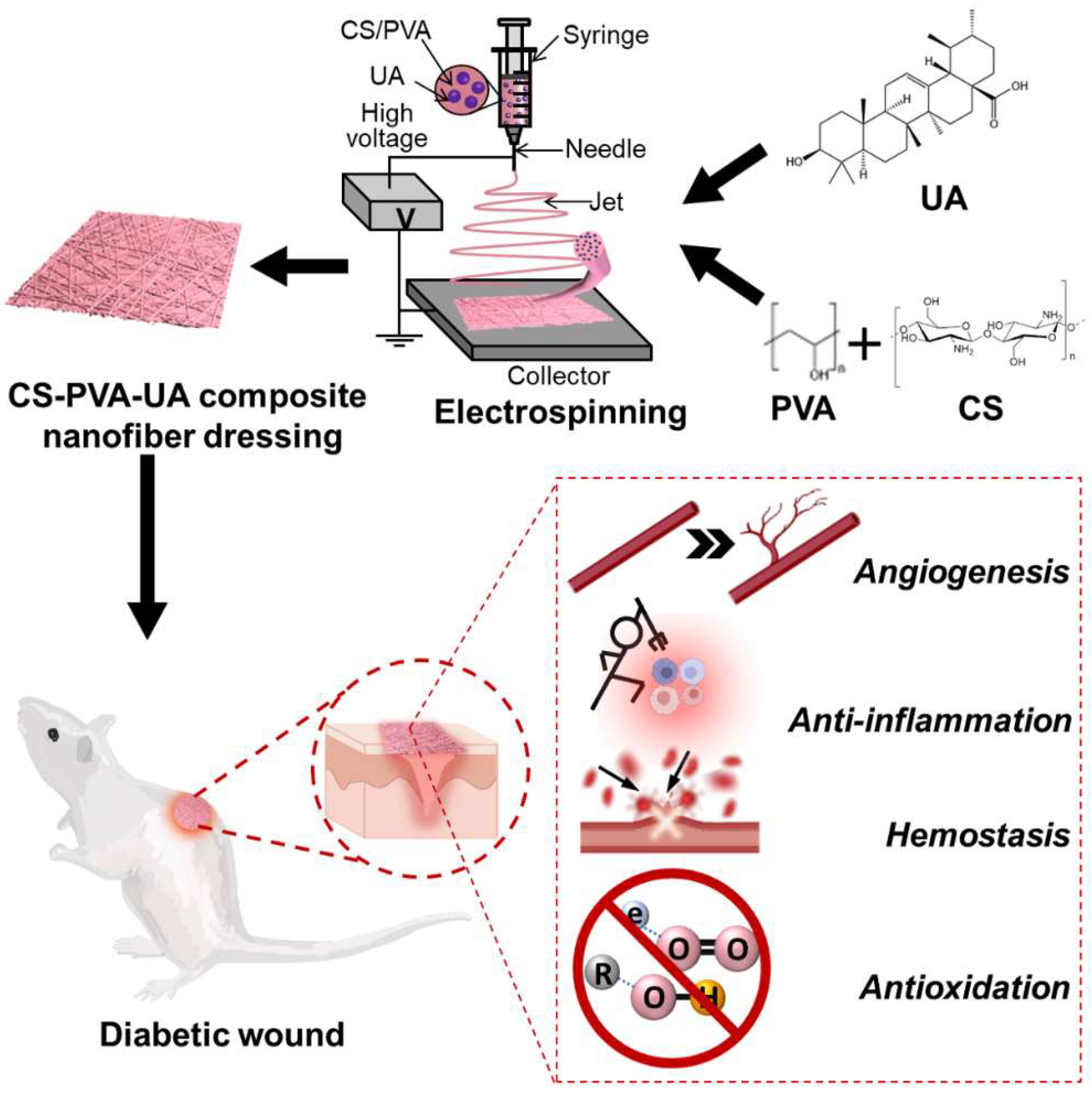 Nanomaterials 12 02933 g001