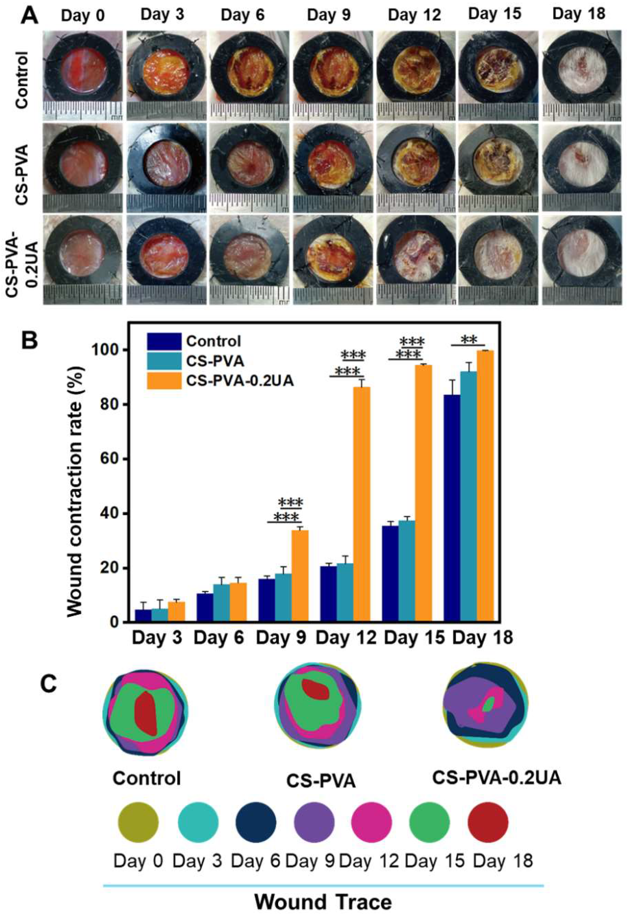 Nanomaterials 12 02933 g007