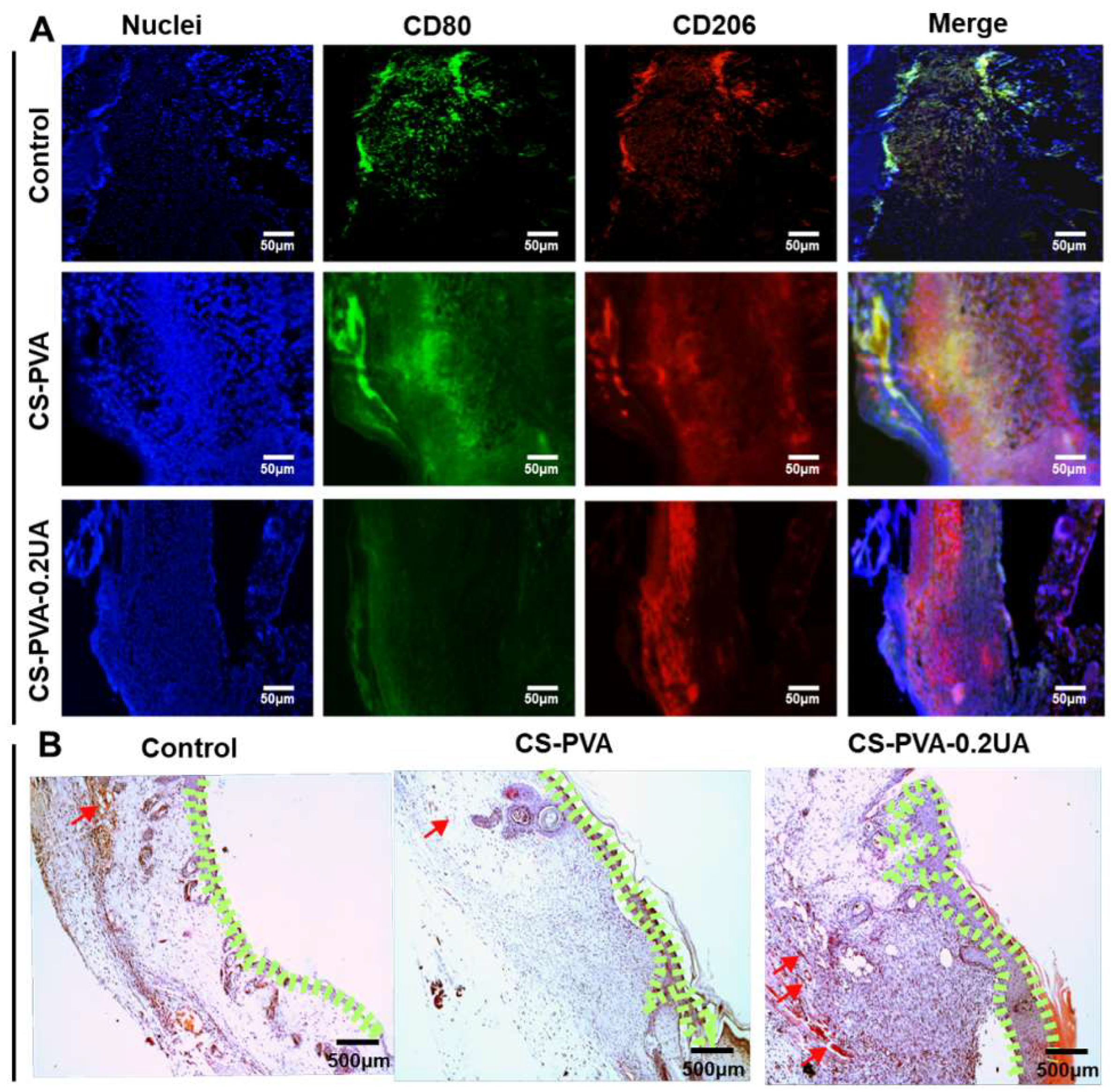 Nanomaterials 12 02933 g008